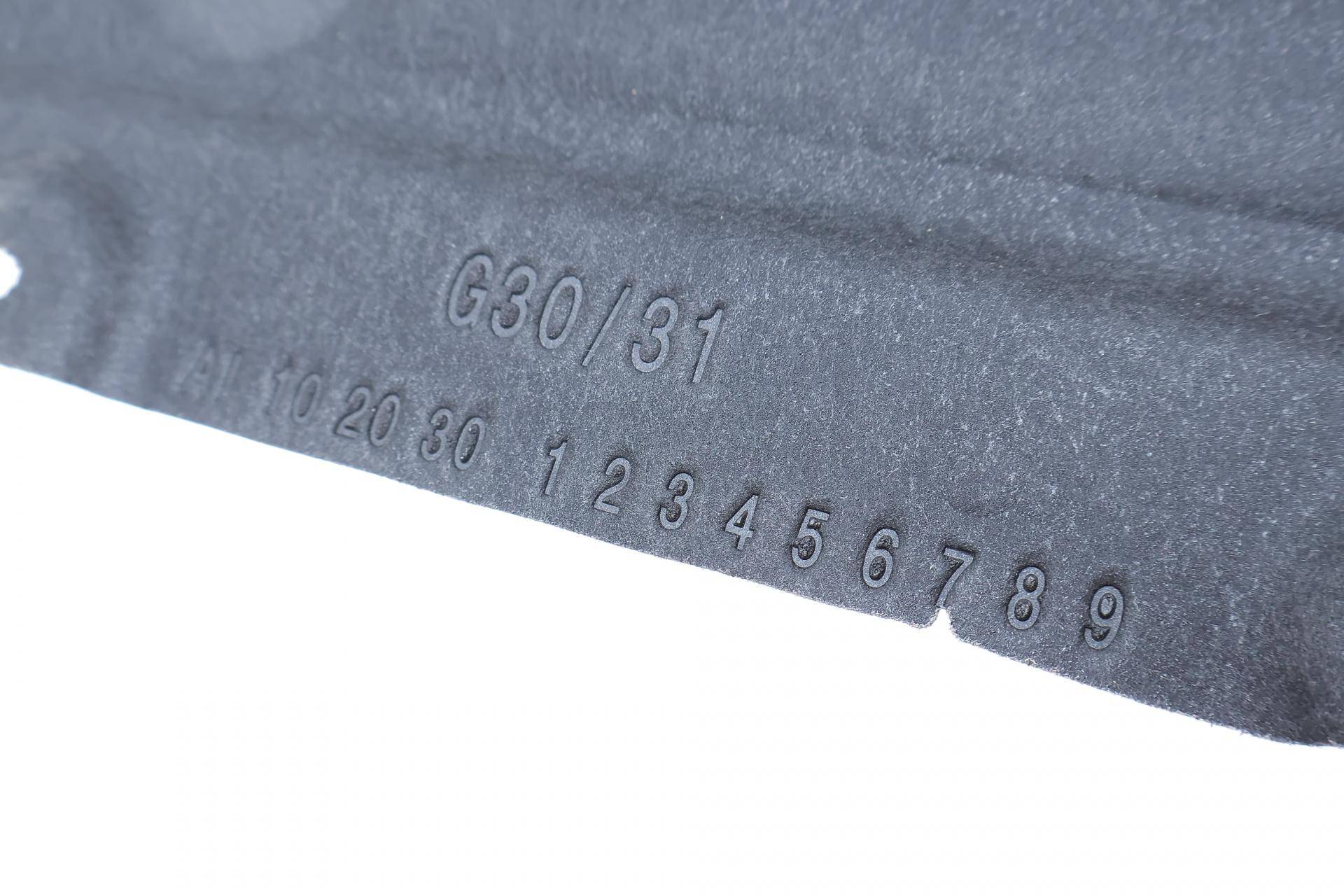 Захист двигуна BMW 5 (G30/G31/F90) 16- (L)