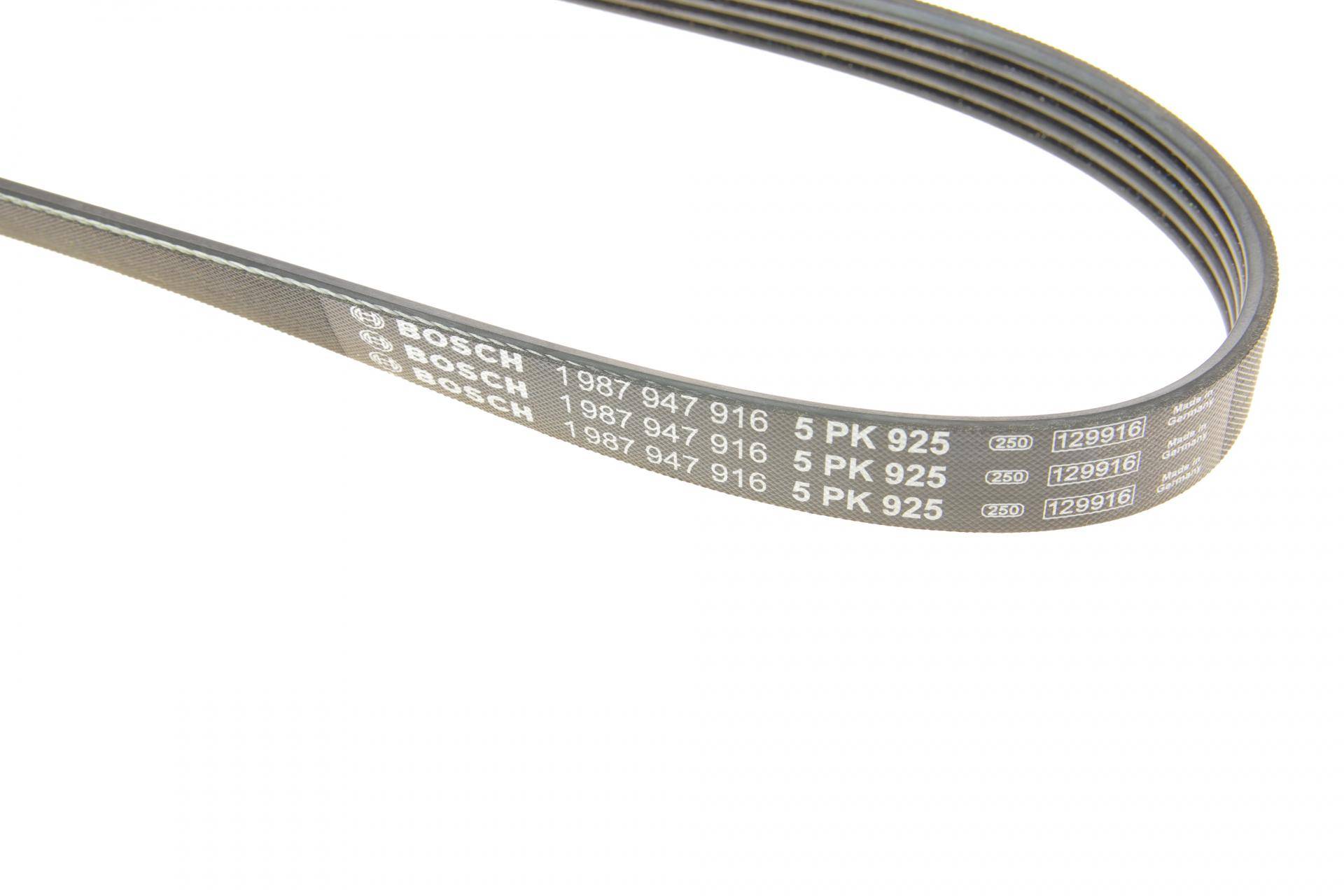 Ремінь генератора Fiat Ducato 1.9D/TD 94-02 (5PK925)