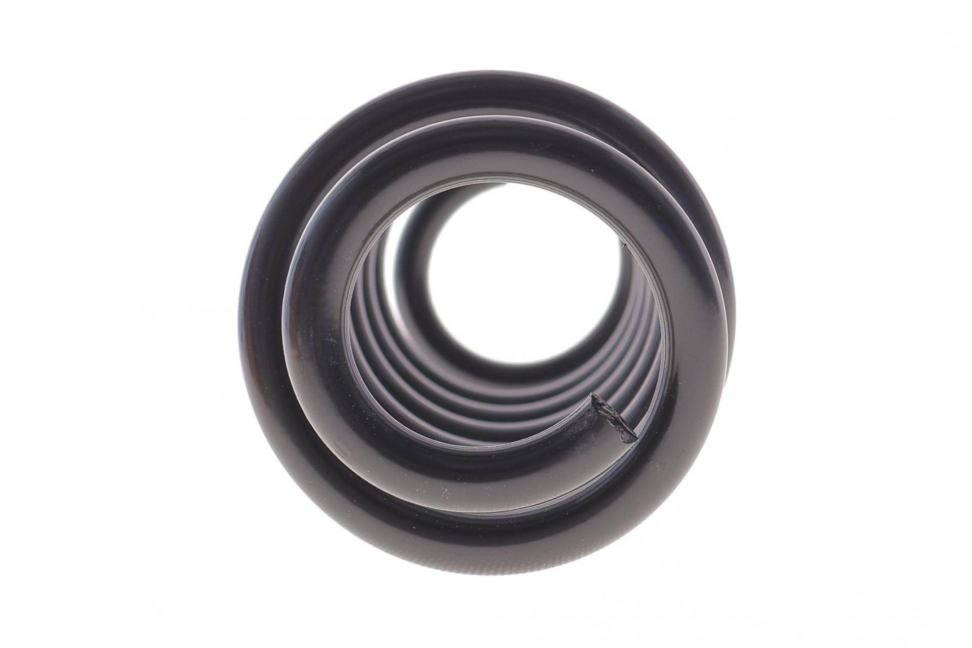 Пружина (задня) Dacia Spring EV/Extreme 20- (хетчбек)