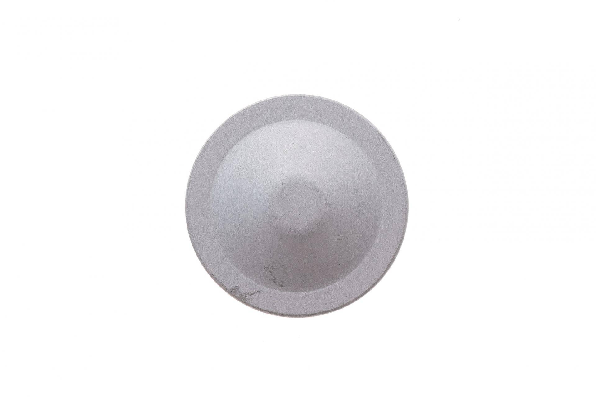 Кришка підшипника маточини (задньої) Renault Kangoo/Megane I/Clio 84- (К-кт 2 шт)