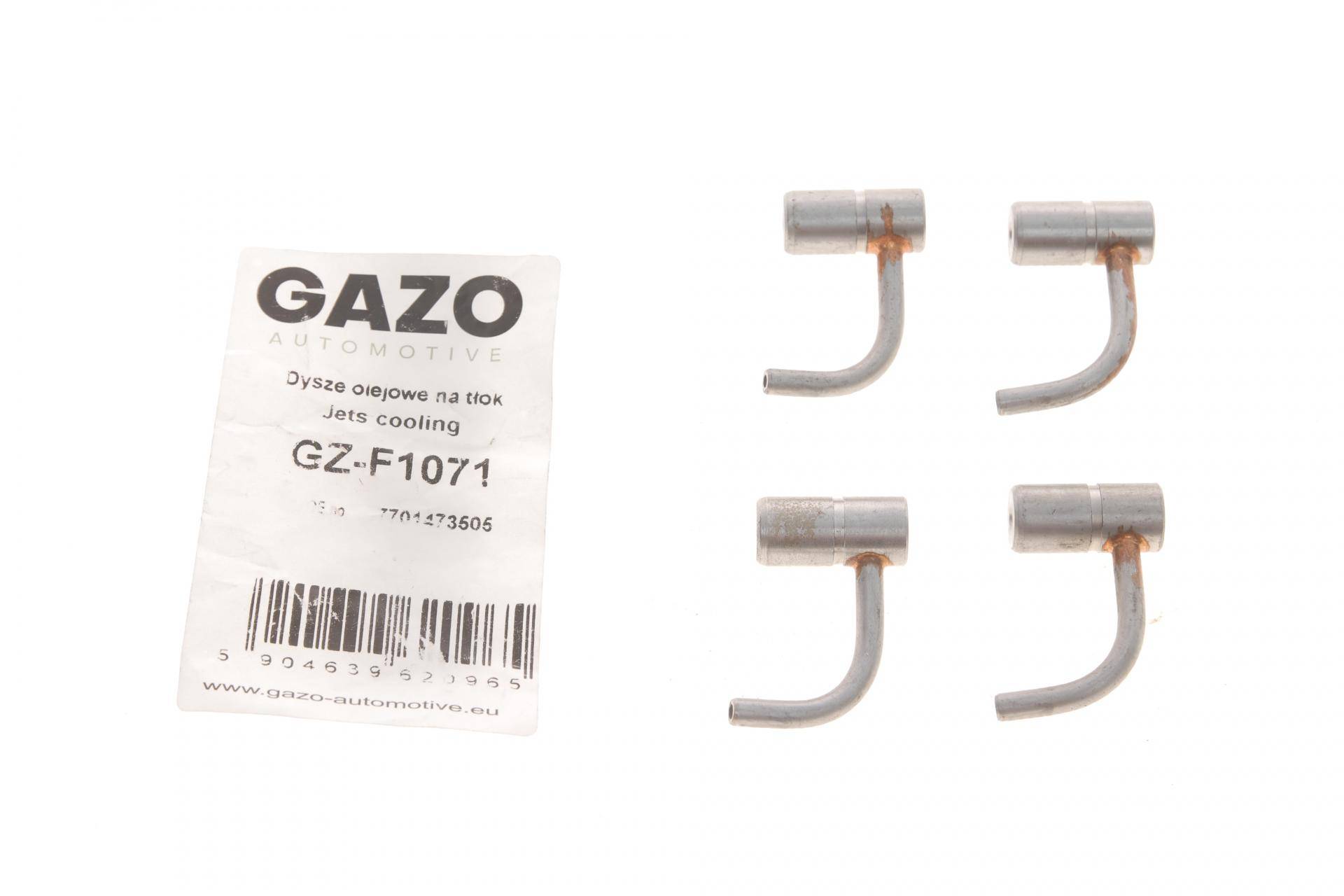 Форсунка масляна Renault Megan/Scenic 1.5 dCi/1.6 99- (к-кт)