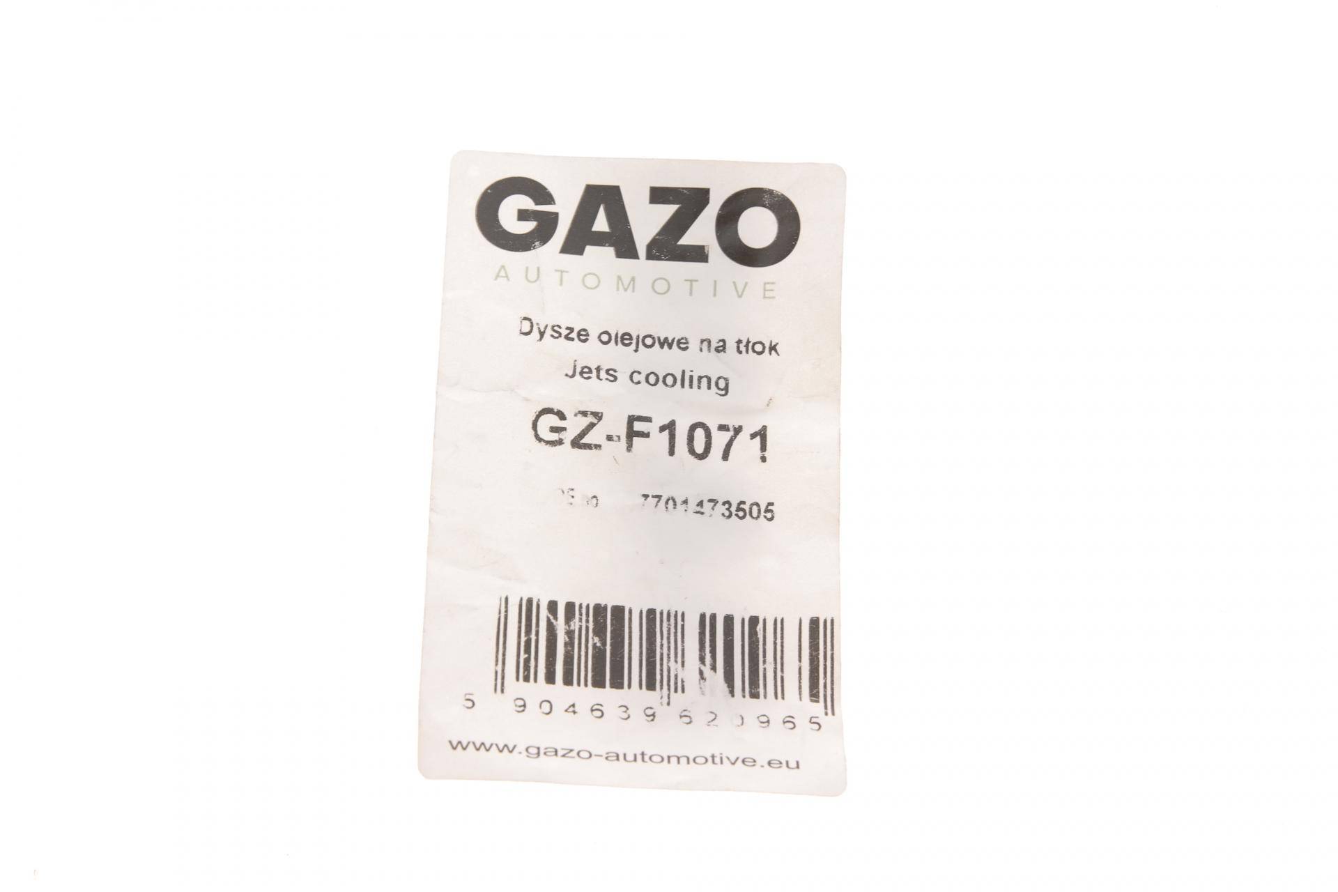 Форсунка масляна Renault Megan/Scenic 1.5 dCi/1.6 99- (к-кт)