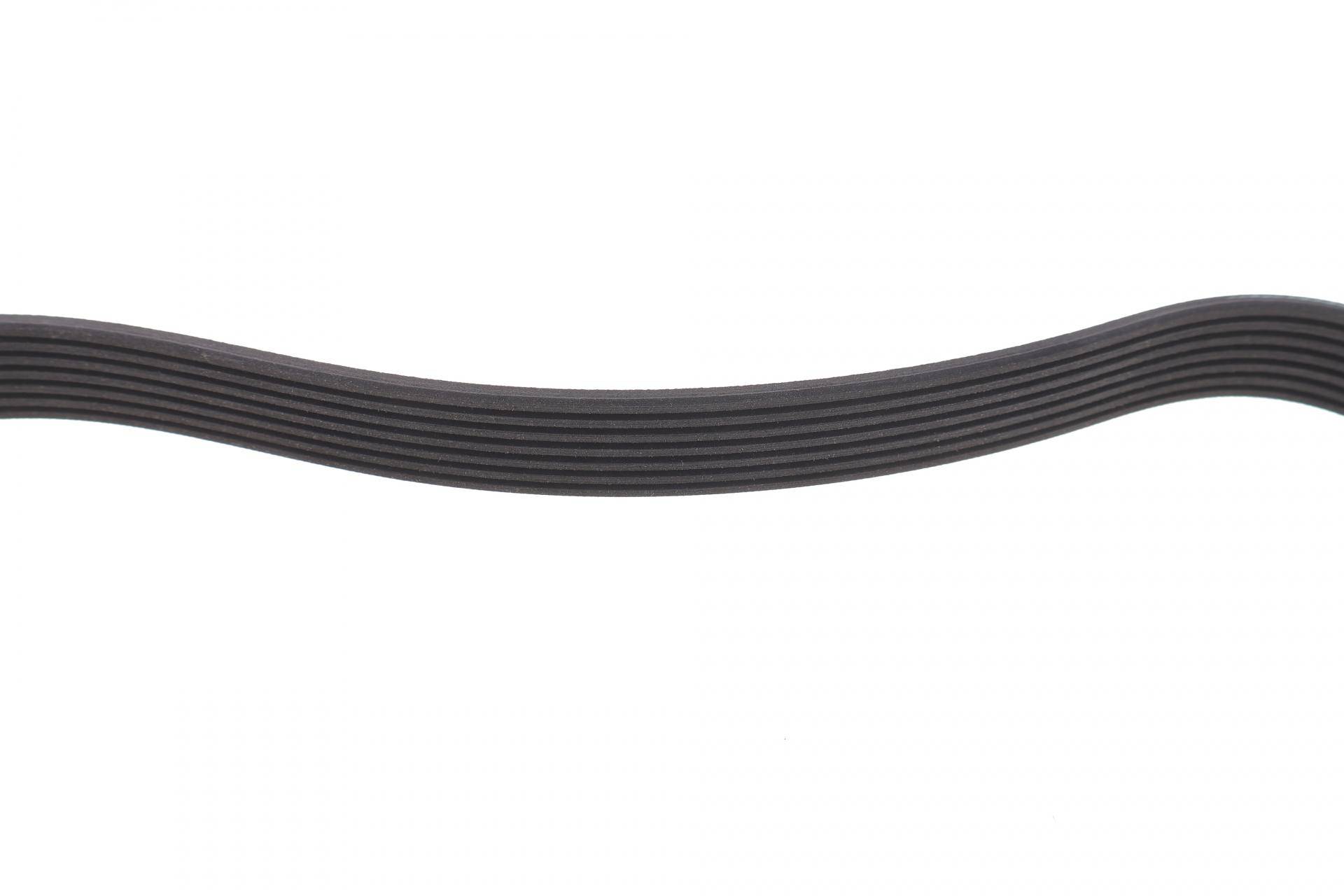 Ремінь генератора Renault Master/Opel Movano 3.0 DCI 03-