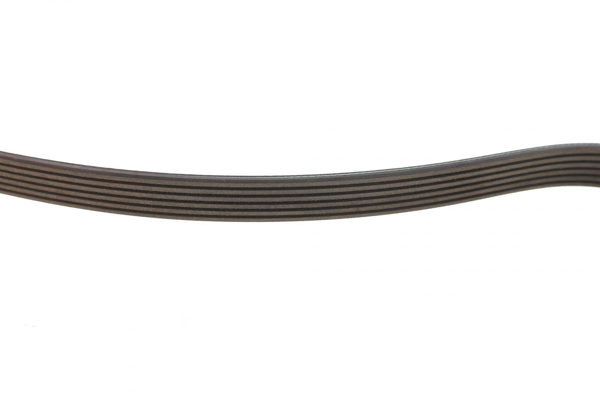 Ремінь генератора VW Amarok/Kia Sorento/Fiat Freemont 2.0/2.4/2.4 CVVT/3.0TDI 09-