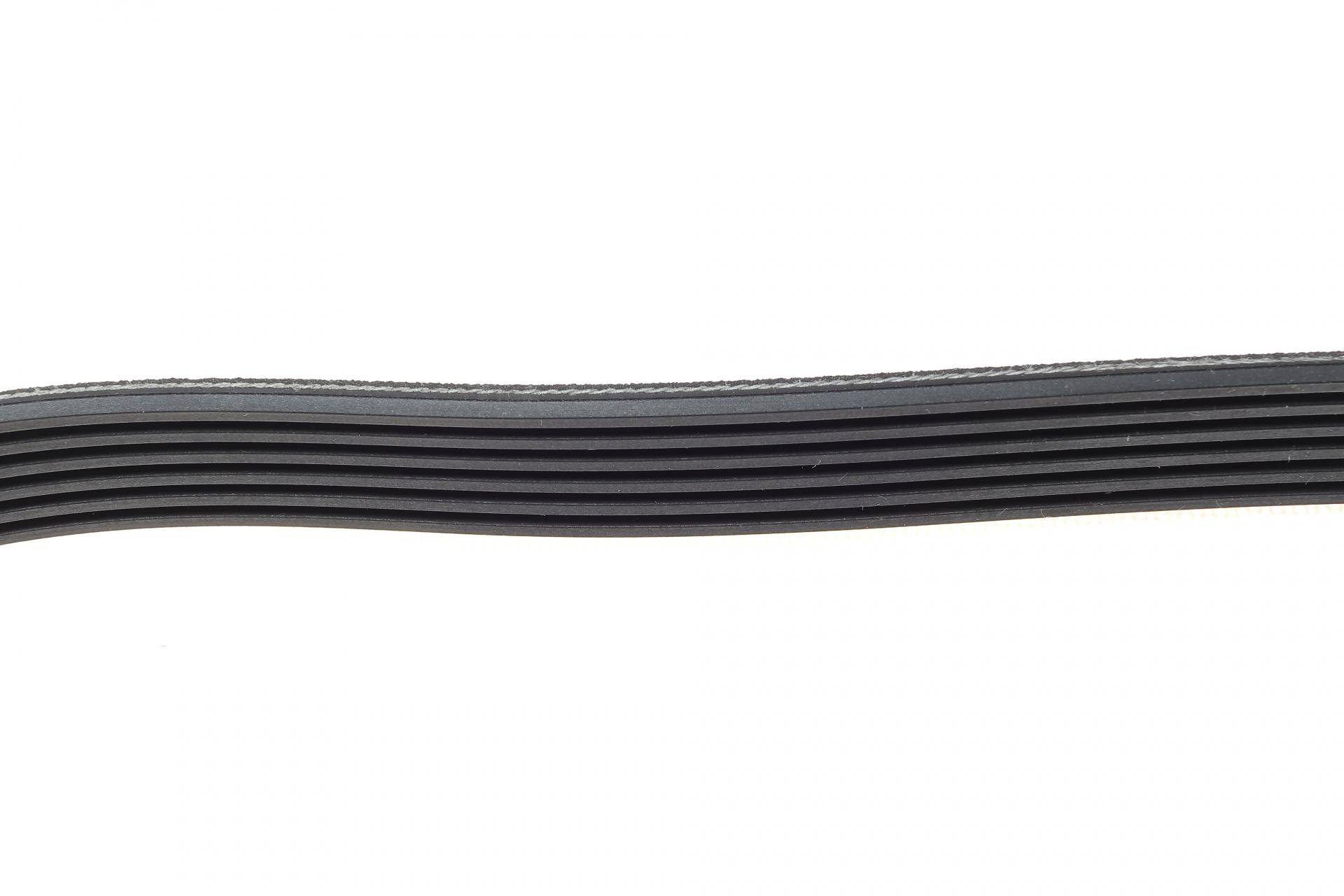 Ремінь генератора VW Golf III/Passat/T4 1.9D/TD (TP)