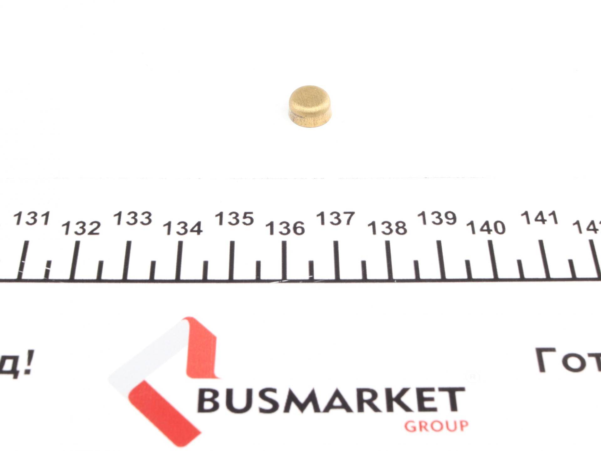 Заглушка блоку циліндрів (d=9mm) Латунь/Brass