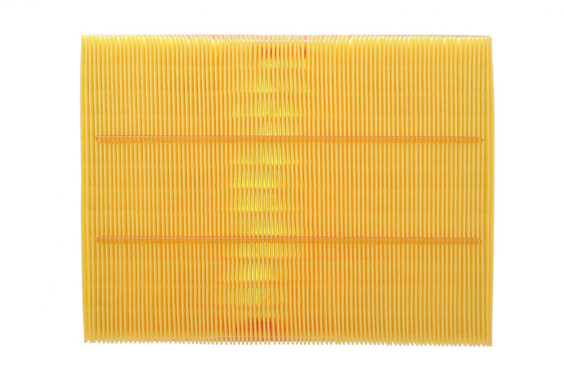 Фільтр повітряний Ford Focus/Kuga 1.0-1.5 EcoBoost/1.5-2.0 EcoBlue 18-