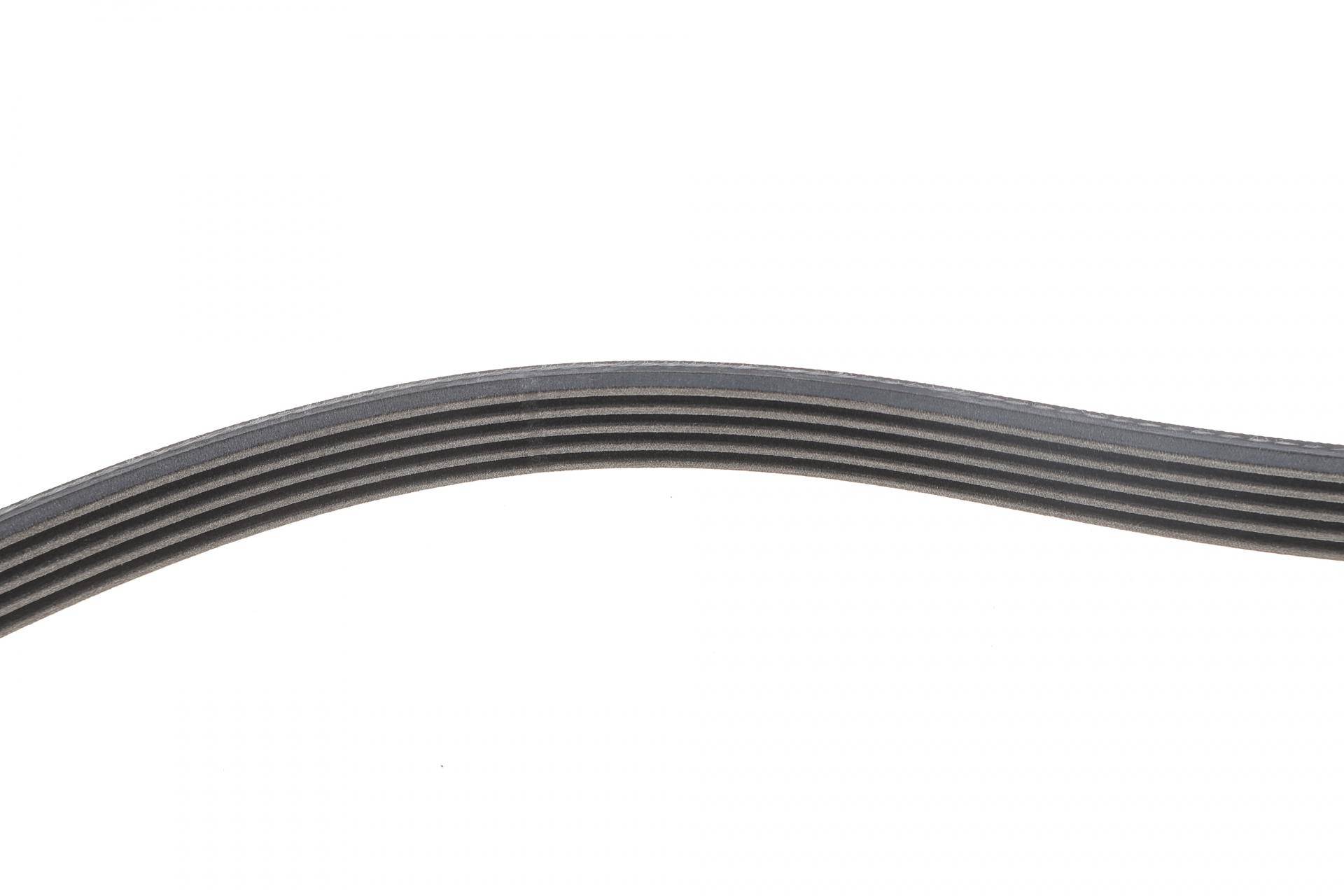 Ремінь генератора VW Passat B5/AUDI A4 B5/A6 C5 1.9TDI, 95-01