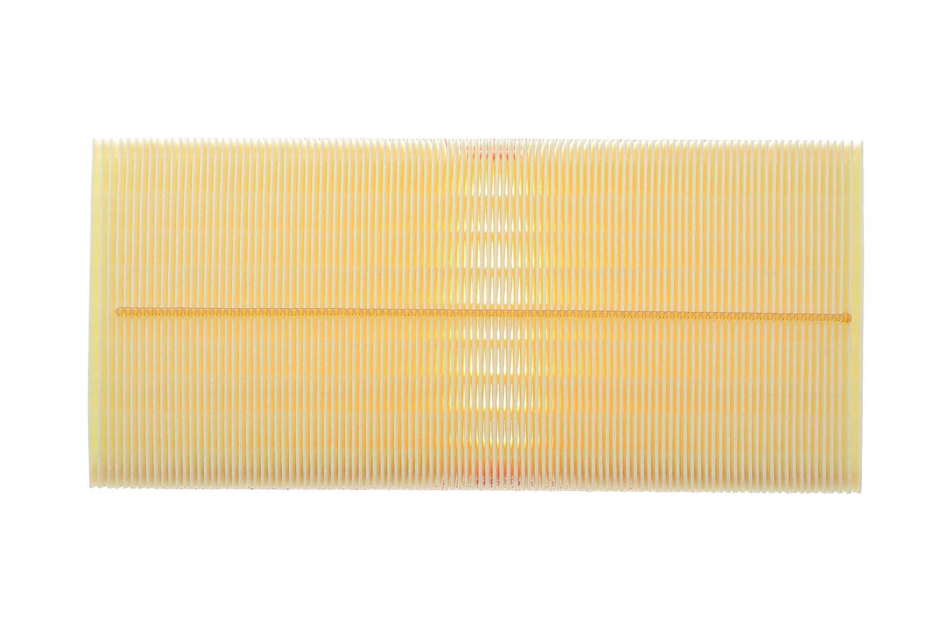 Фільтр повітряний Citroen C5/Jumpy/Fiat Scudo/Peugeot 406/Expert 1.6-2.0/1.9TD/2.0-2.2HDi 96-07