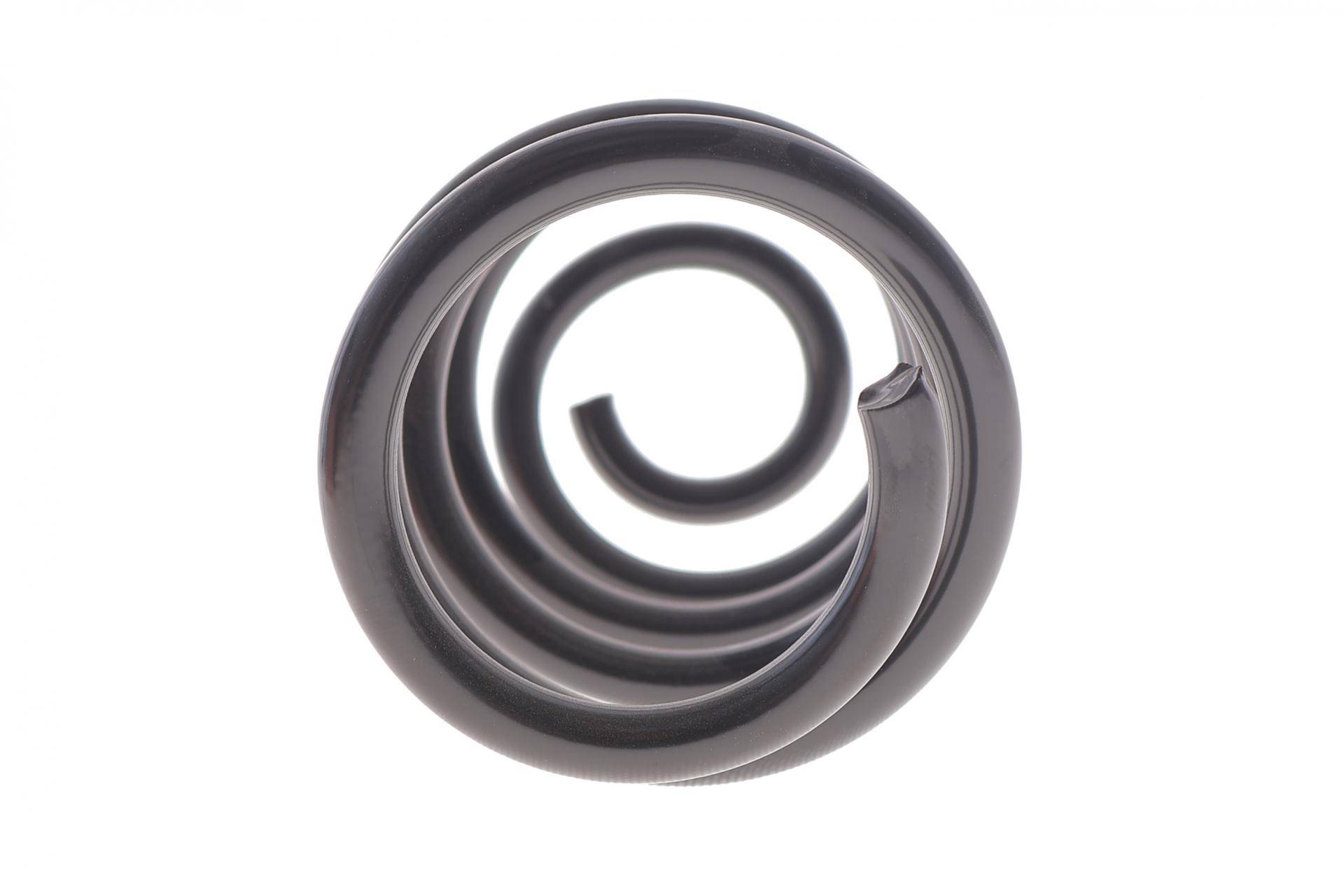 Пружина (задня) Nissan Juke 1.6 Hybrid 19- (SUV)