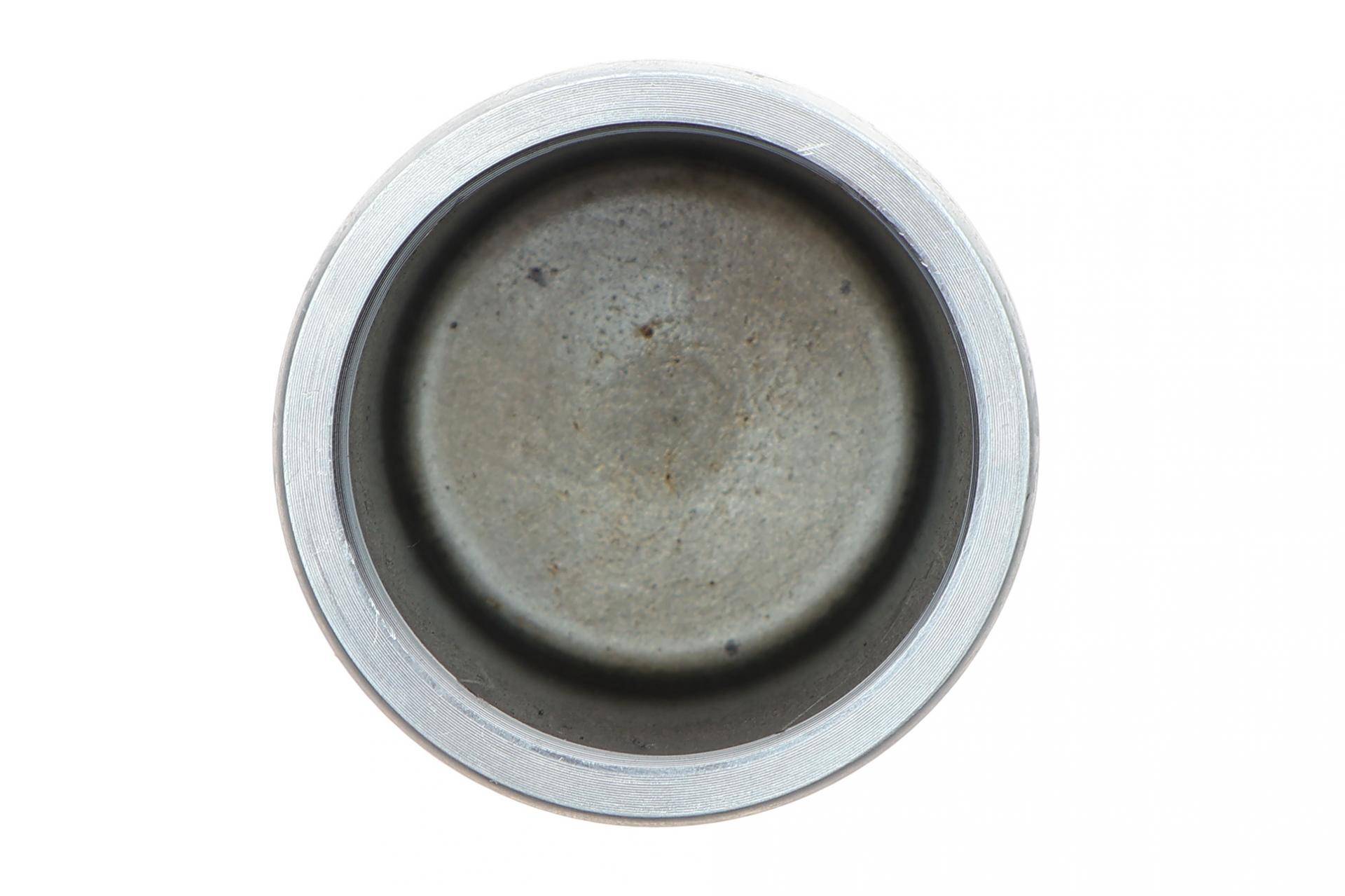 Поршень супорта (переднього) Citroen Jumper/Fiat Ducato 94- (48x57,5mm)