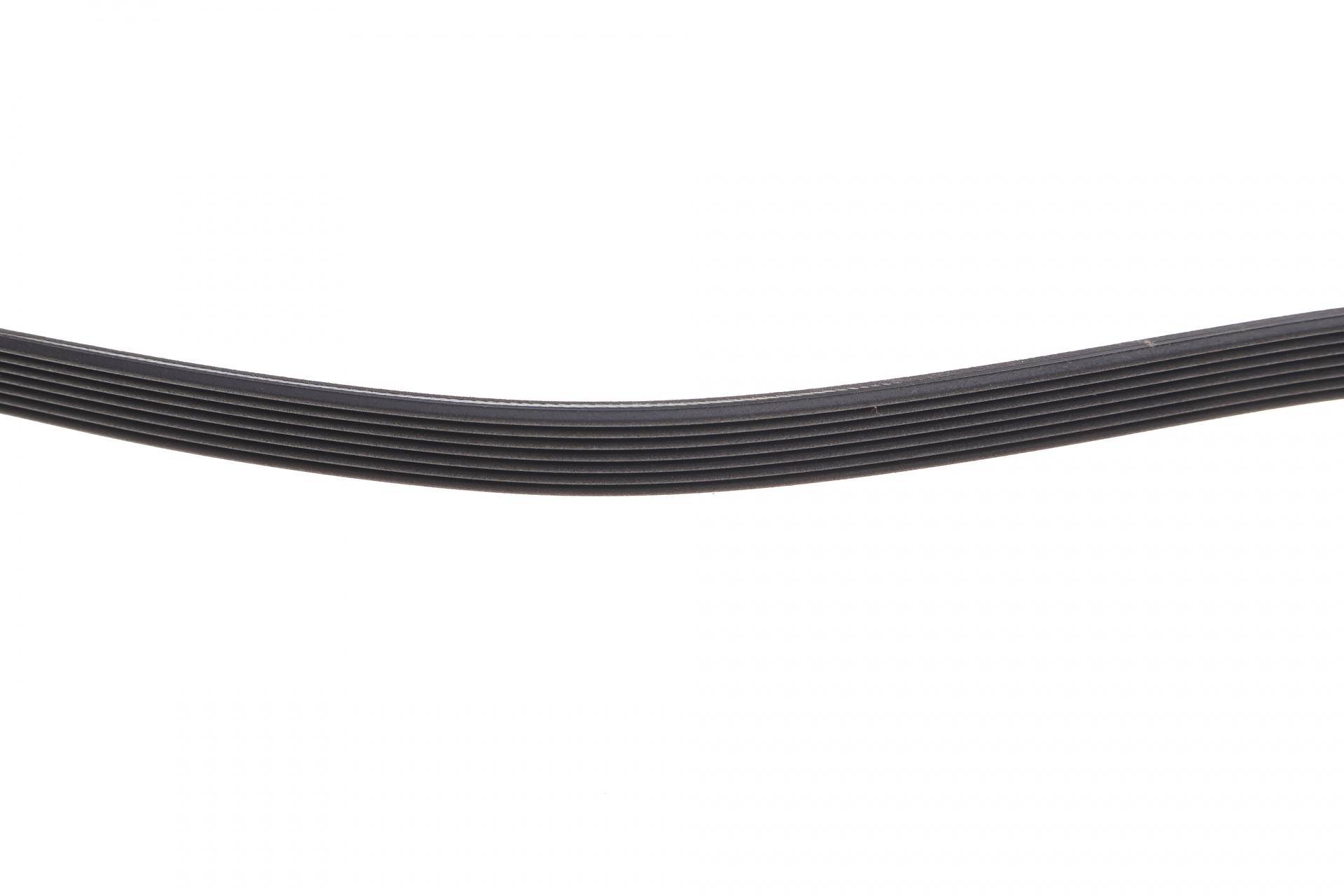 Ремінь генератора Ford Transit 2.4 TDCI 06-