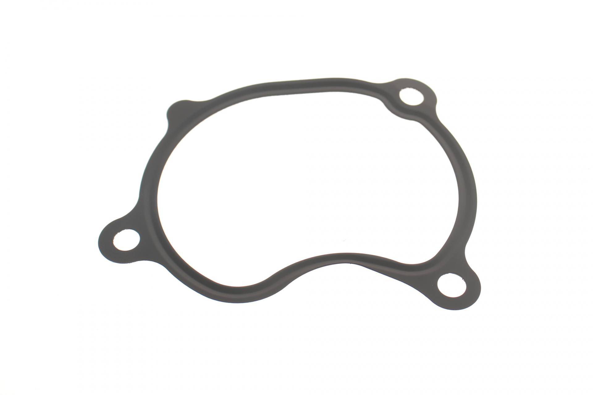 Прокладка корпусу колектора впускного Renault Laguna 3.5 V6 08-15