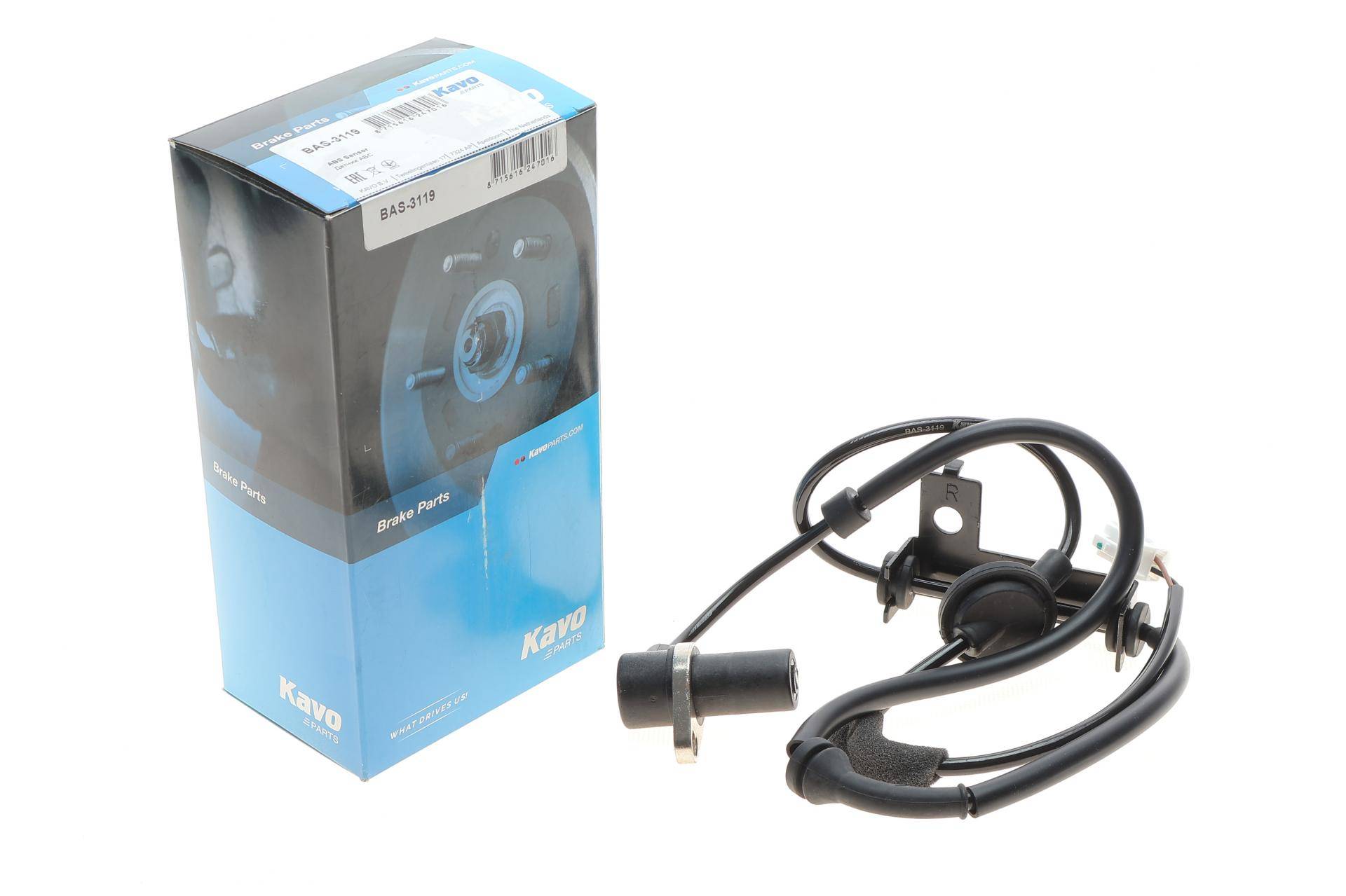 Датчик ABS (задній) Hyundai Santa Fe 01-06 (R)