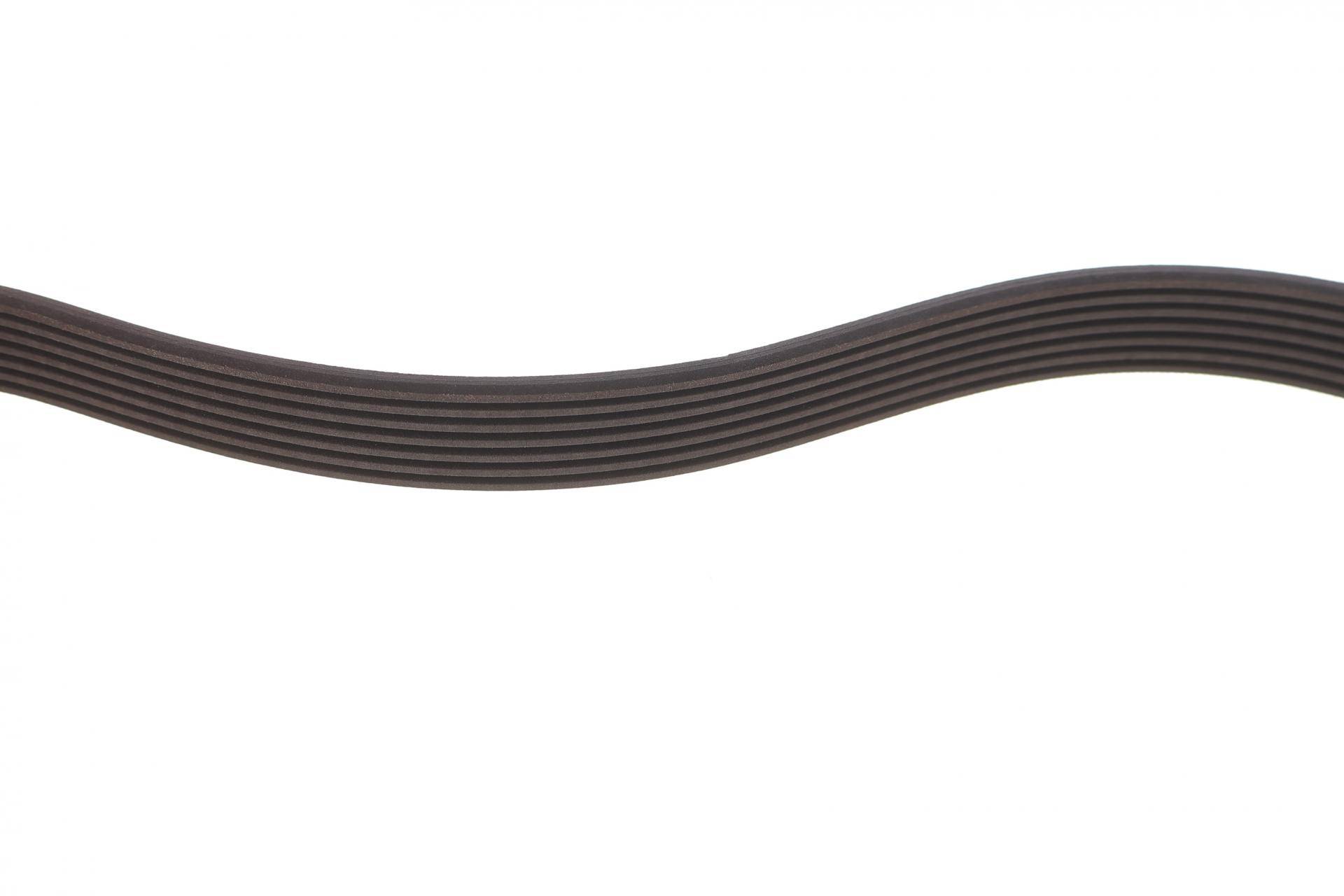 Ремінь генератора Ford Transit 2.4 TDCI 00-06/LDV Convoy 96-09