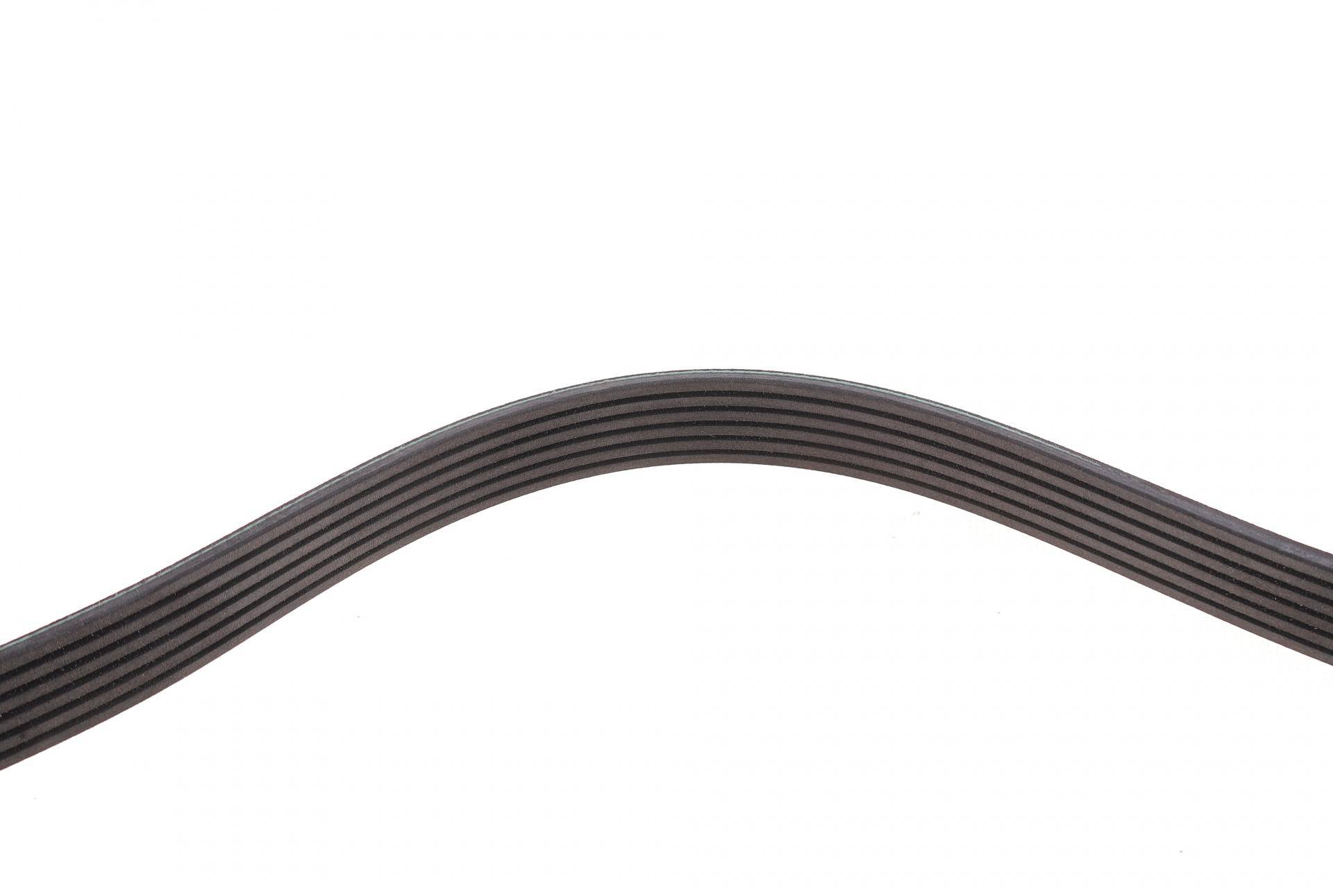 Ремінь генератора Renault Master/Opel Movano/Renault Kangoo 1.9dCi/dTi 98-/Trafic 2.0 06- (6PK1125)