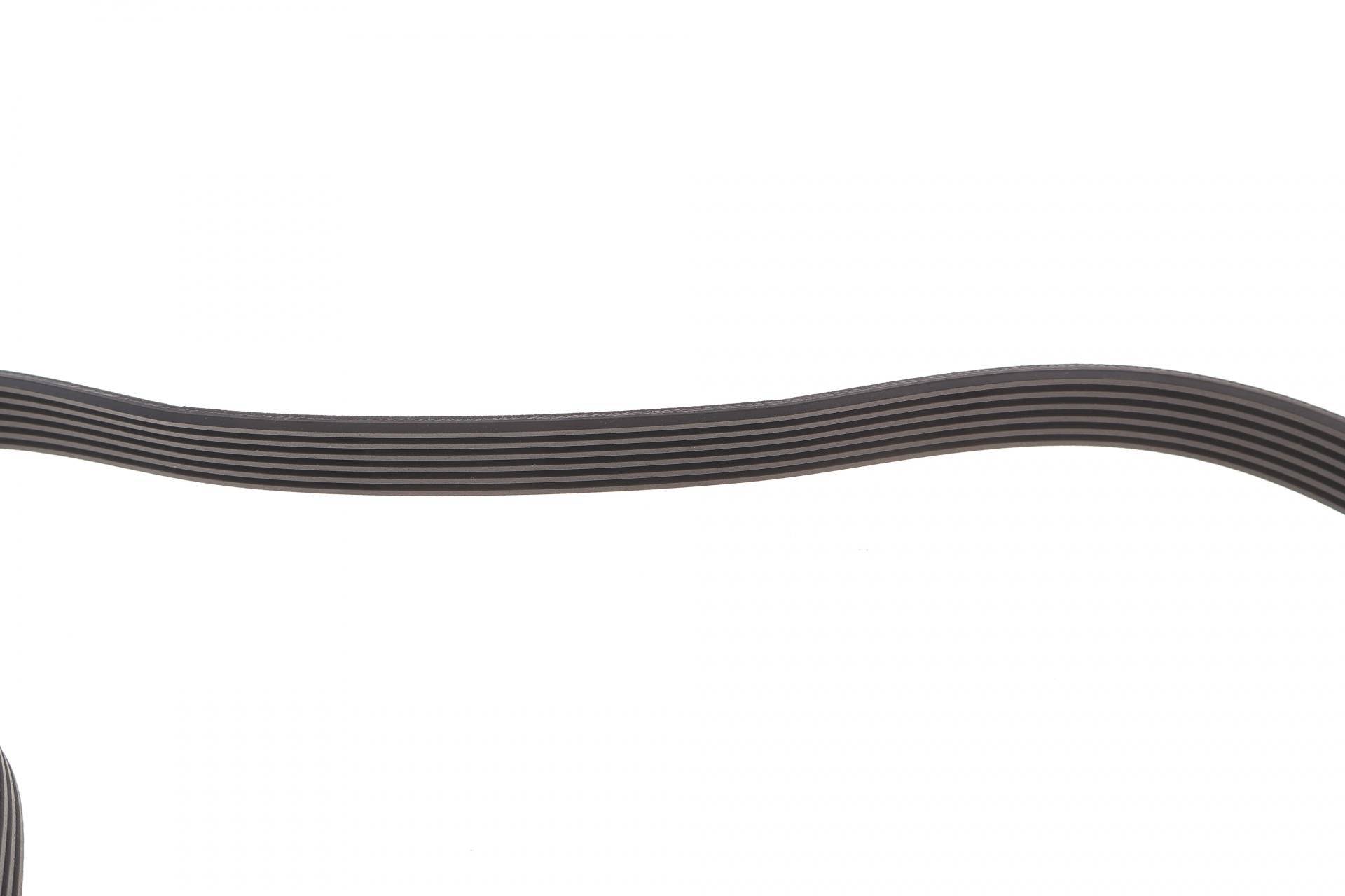 Ремінь генератора VW T4 2.5TDI ACV 95- (6PK1770)