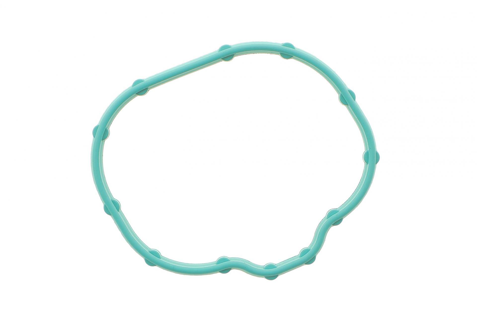 Прокладка колектора впускного Ford Edge/Explorer/F-150 3.5/3.7 06-