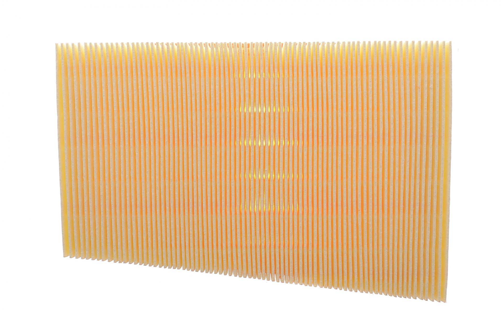 Фільтр повітряний Nissan Qashqai 1.6/2.0 06-13/Renault Koleos 2.0dCi 08-