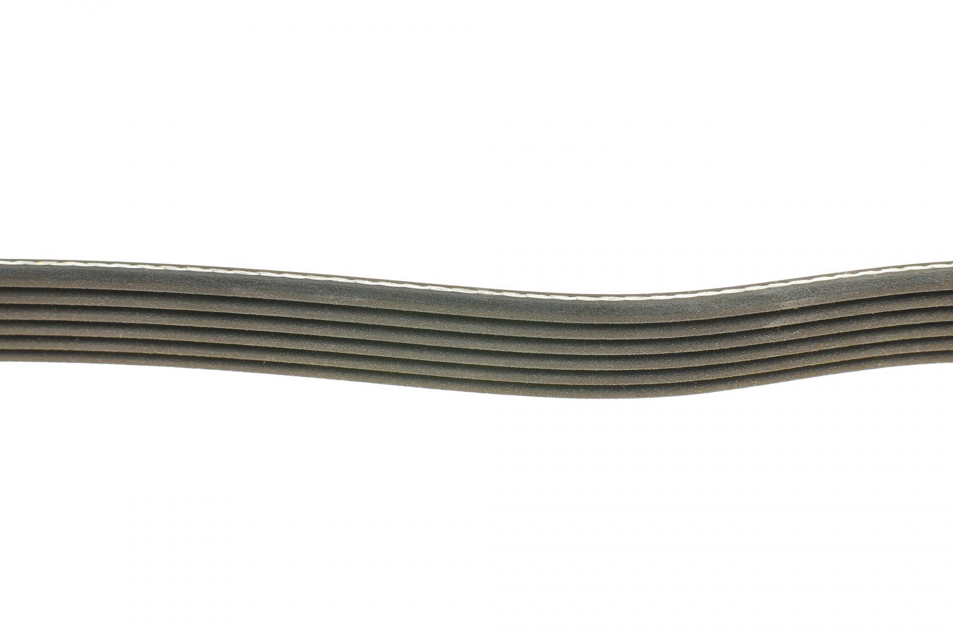 Ремінь генератора Ford Focus 1.4/1.6 16V 98-04