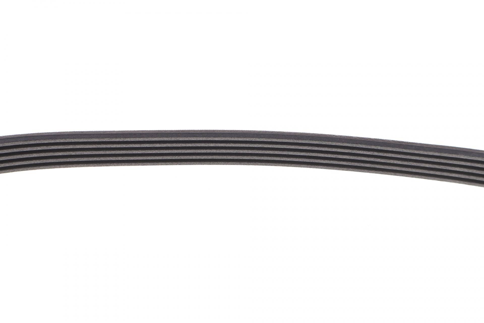 Ремінь генератора Ford Transit 2.0 EcoBlue 16- (5PK775)