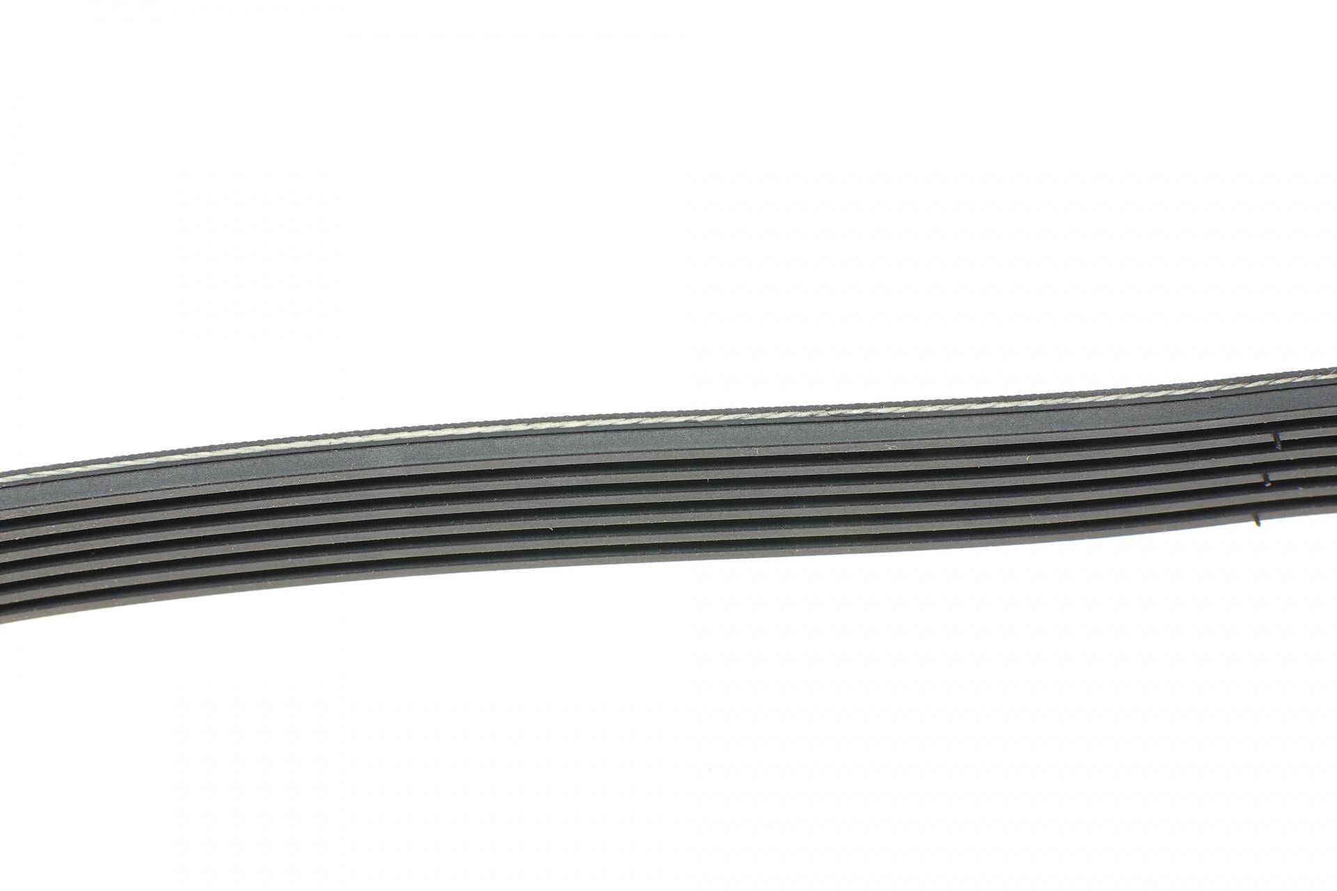 Ремінь генератора Ford C-Max II/Focus III 1.6Ti/LPG 10-