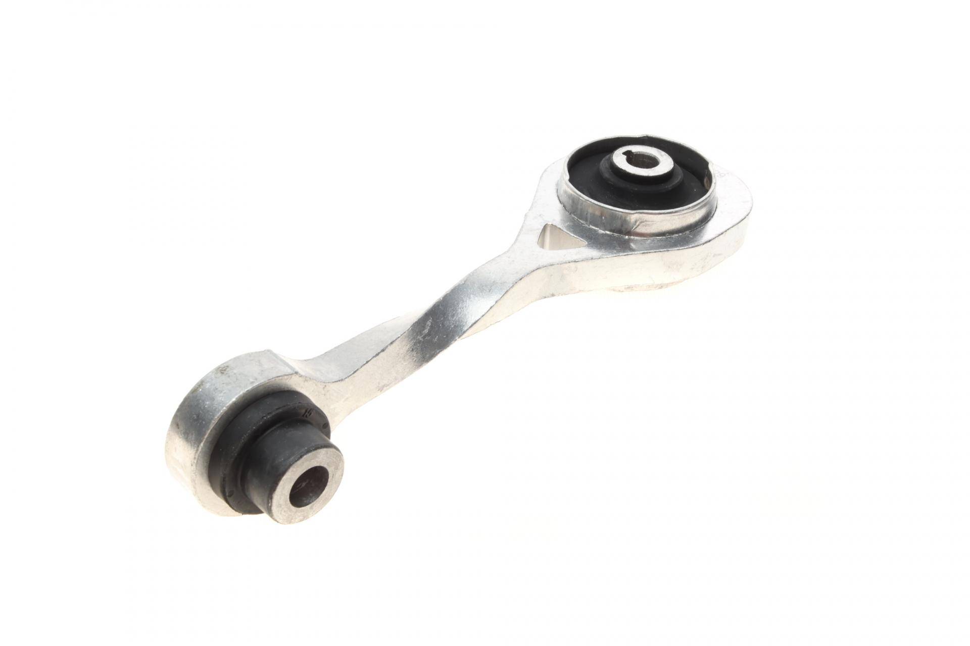 Подушка двигуна (задня) Renault Kangoo 1.5dCi 01- (косточка)