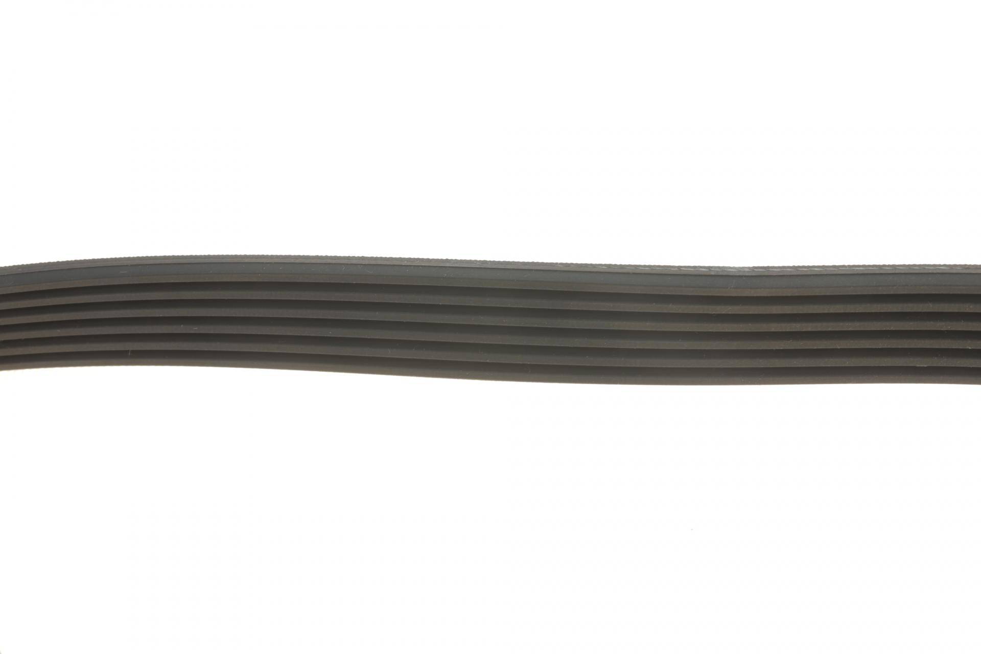 Ремінь генератора Citroen Berlingo/Fiat Scudo 1.9D (6PK1435)