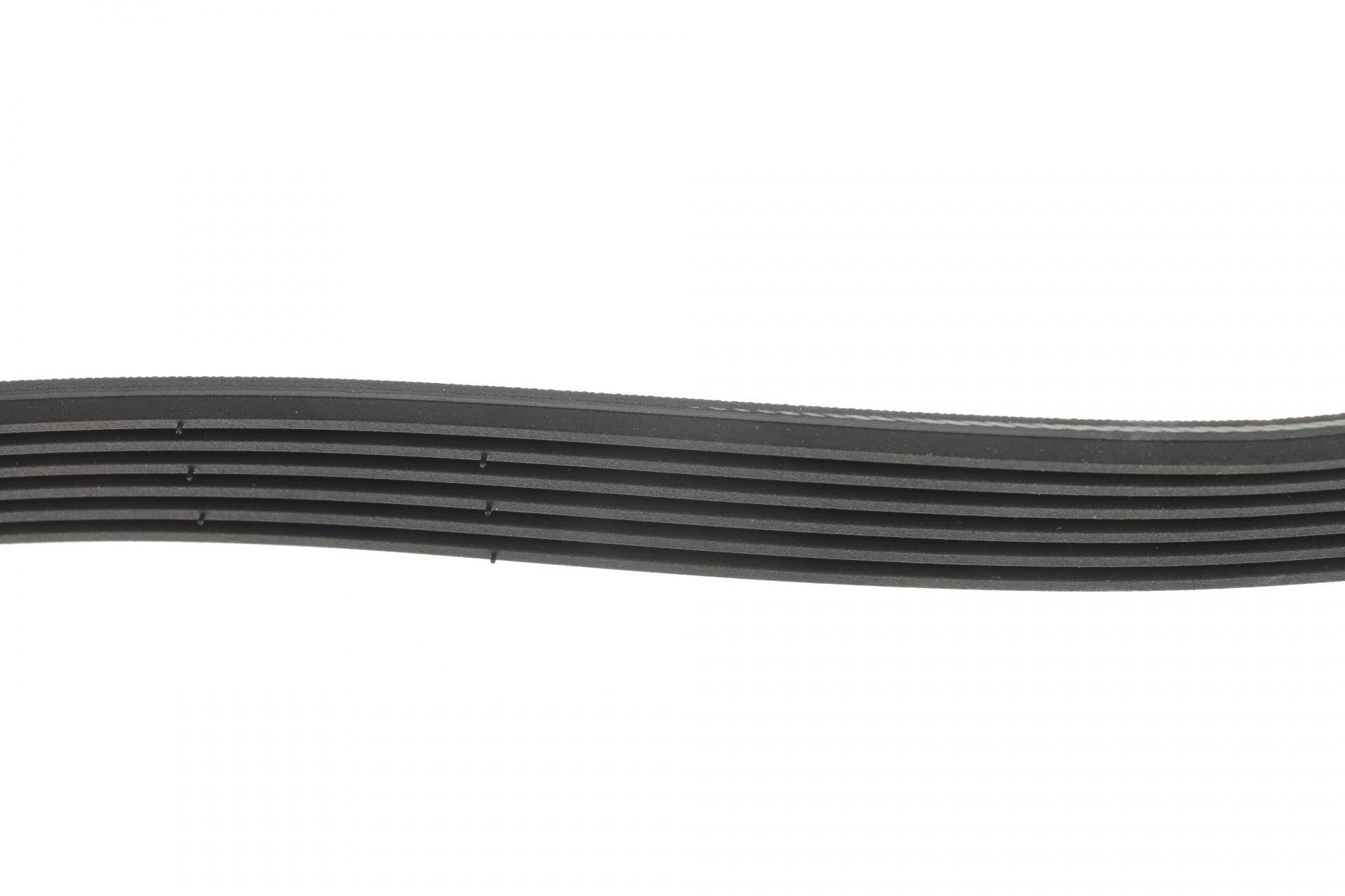 Ремінь генератора Fiat Ducato 2.0 94- /VW Caddy 1.4 04- (6PK1100)