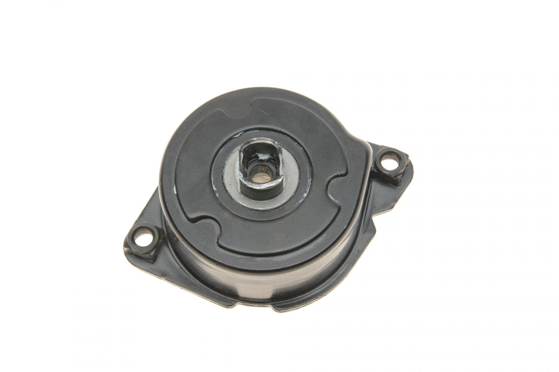 Натяжник ременя генератора BMW 3 (E46)/5 (E39)/7 (E38)/X5 (E53) 98-05 M47/M57