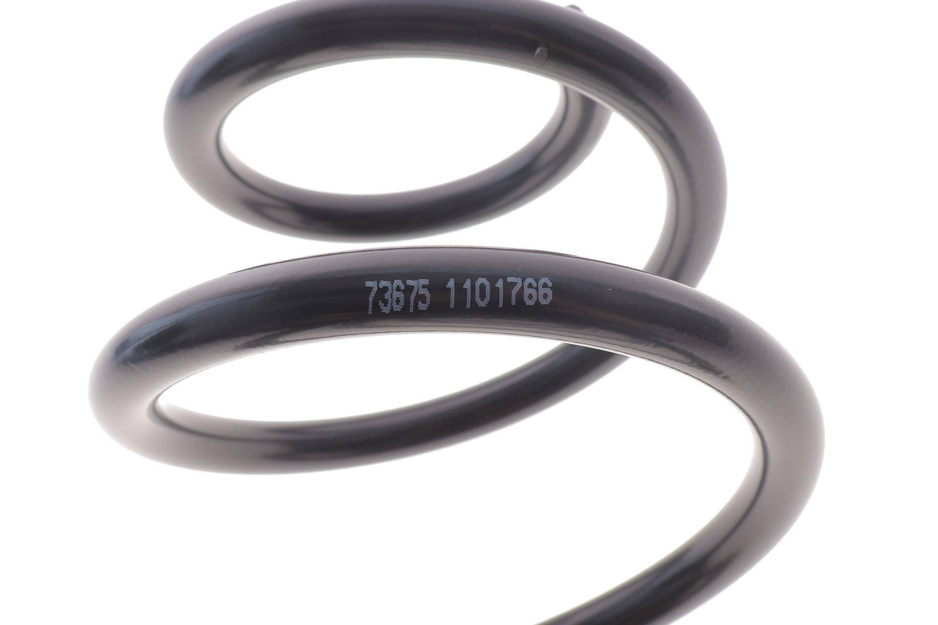 Пружина (задня) Ford Transit Connect 1.5 EcoBlue 18- (фургон/автобус) (L)