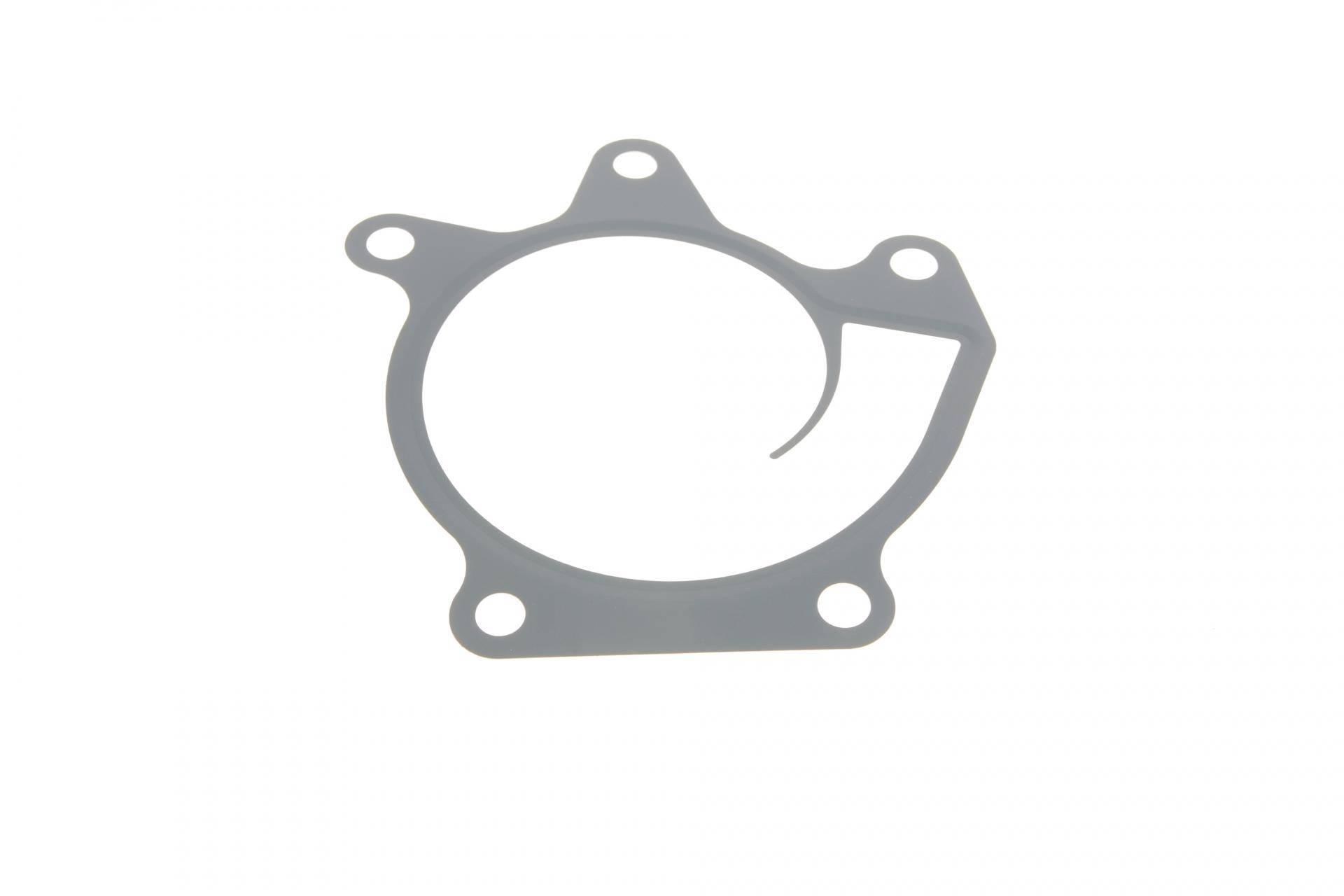 Прокладка помпи води Nissan Qashqai/X-Trail/Renault Espace V/Megane IV 1.6/2.0 10-