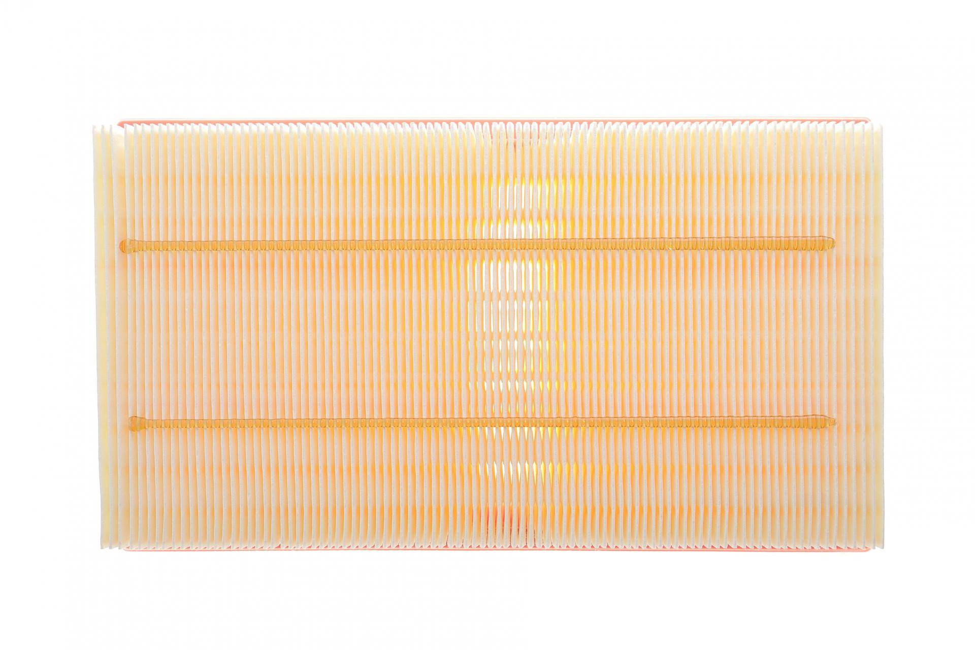 Фільтр повітряний Land Rover Range Rover 3.0D/3.0/4.4 21- (к-кт 2шт)