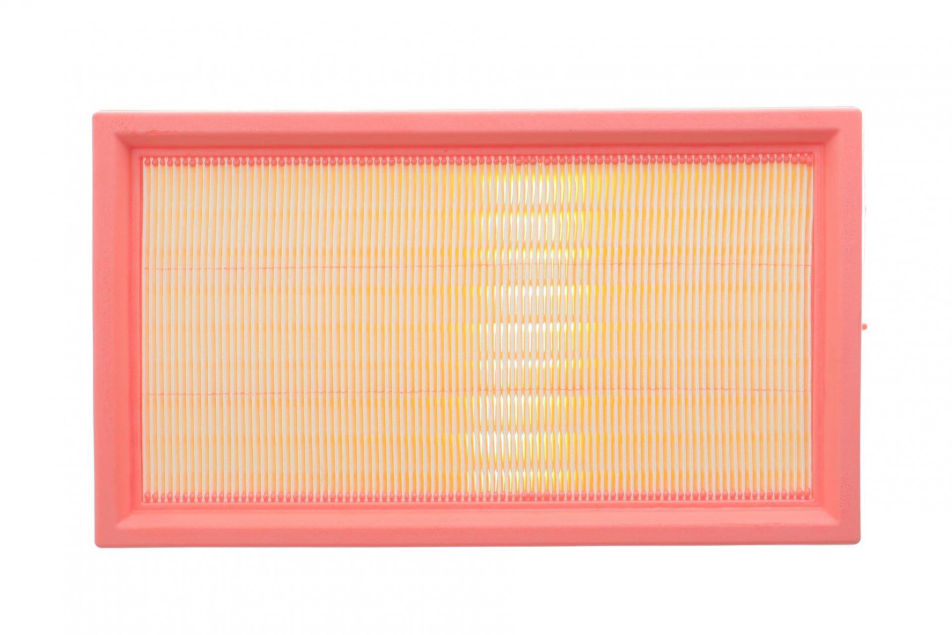 Фільтр повітряний Land Rover Range Rover 3.0D/3.0/4.4 21- (к-кт 2шт)