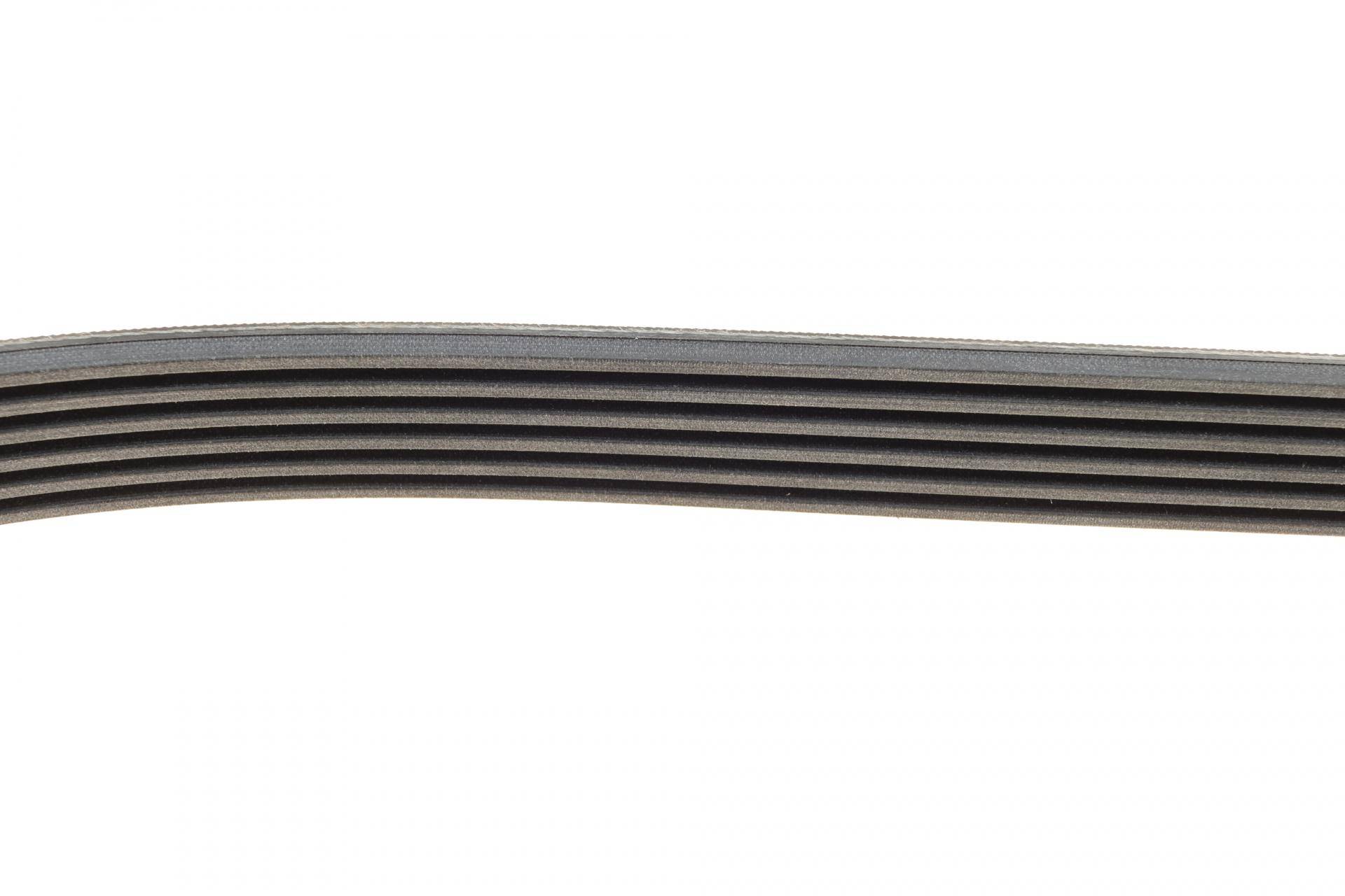 Ремінь генератора Opel Combo/Astra/Vectra/Omega 1.2-2.2 91-03/BMW 1 (E81/E87) 2.0D 04-11