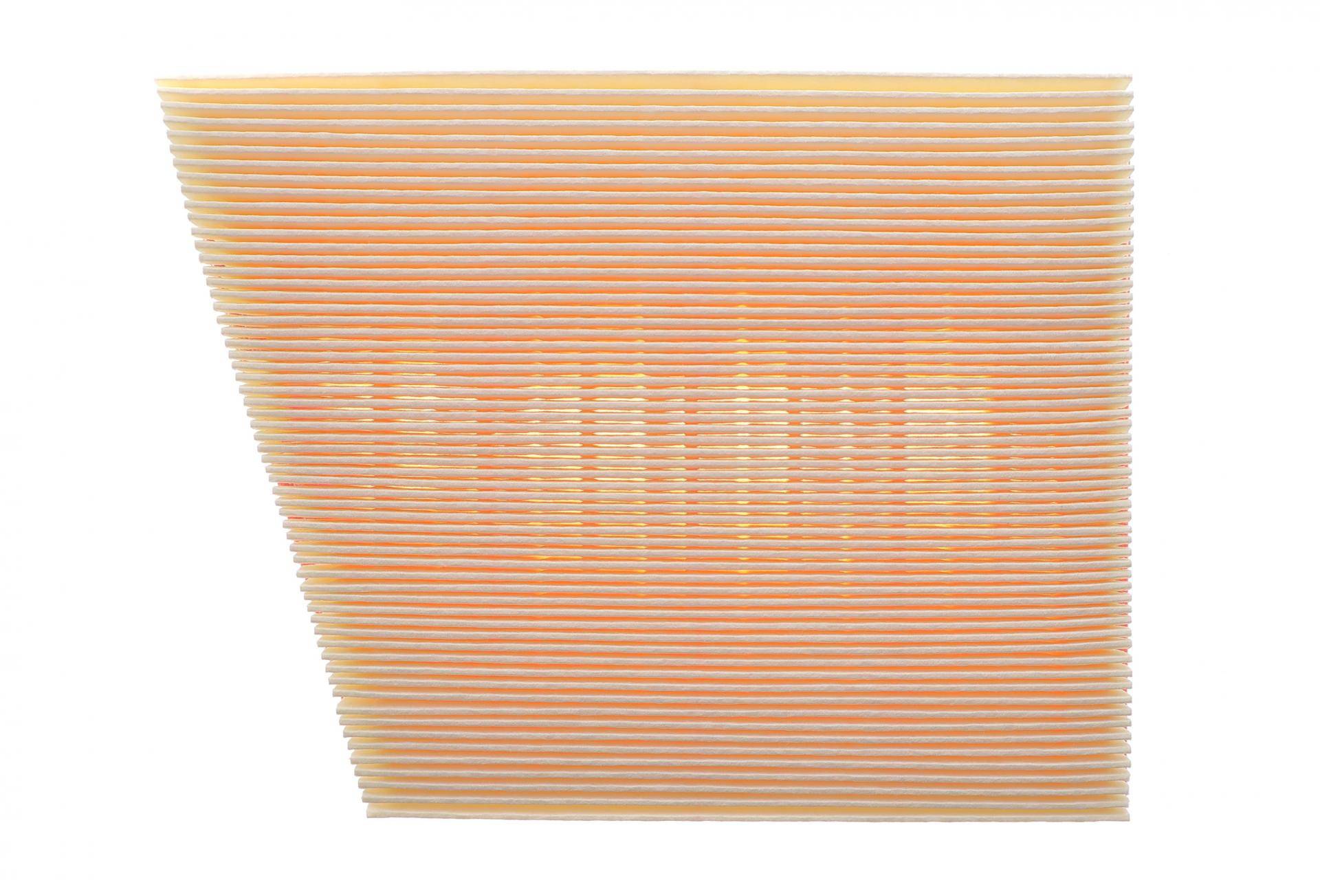 Фільтр повітряний Land Rover Range Rover Velar 3.0D 17- (L)/2.0D 17-/Range Rover Sport 2.0 17-