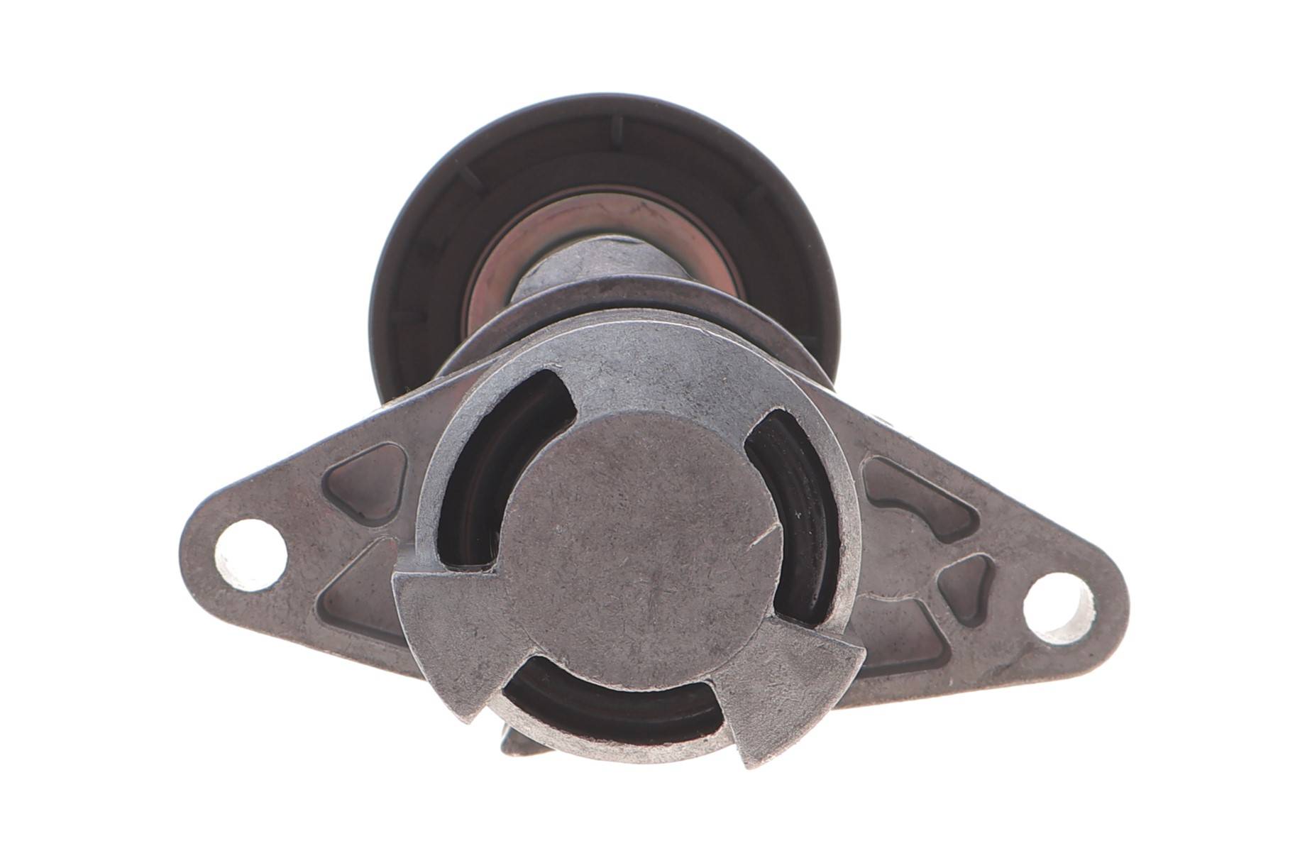 Комплект ременя генератора Renault Megane/Scenic 00-09, (5PK1750)