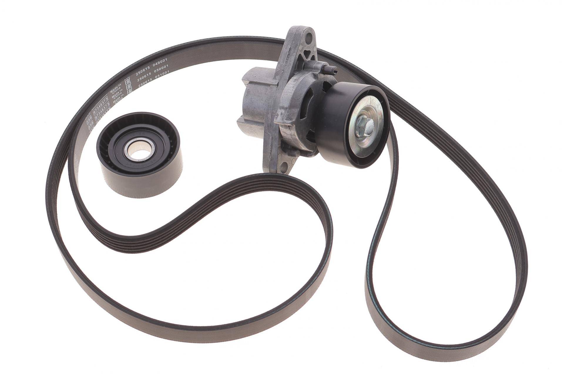 Комплект ременя генератора Renault Megane/Scenic 00-09, (5PK1750)