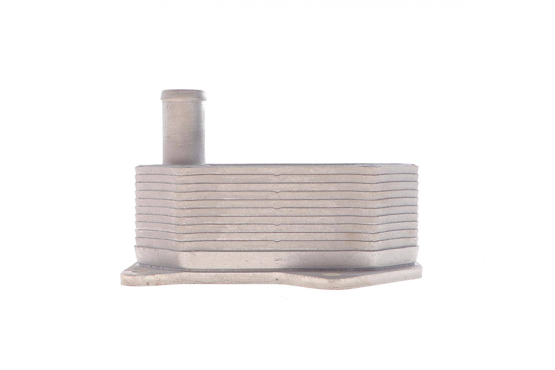 Радіатор масляний Ford Transit 2.2D/2.4D 06-(без прокладок)