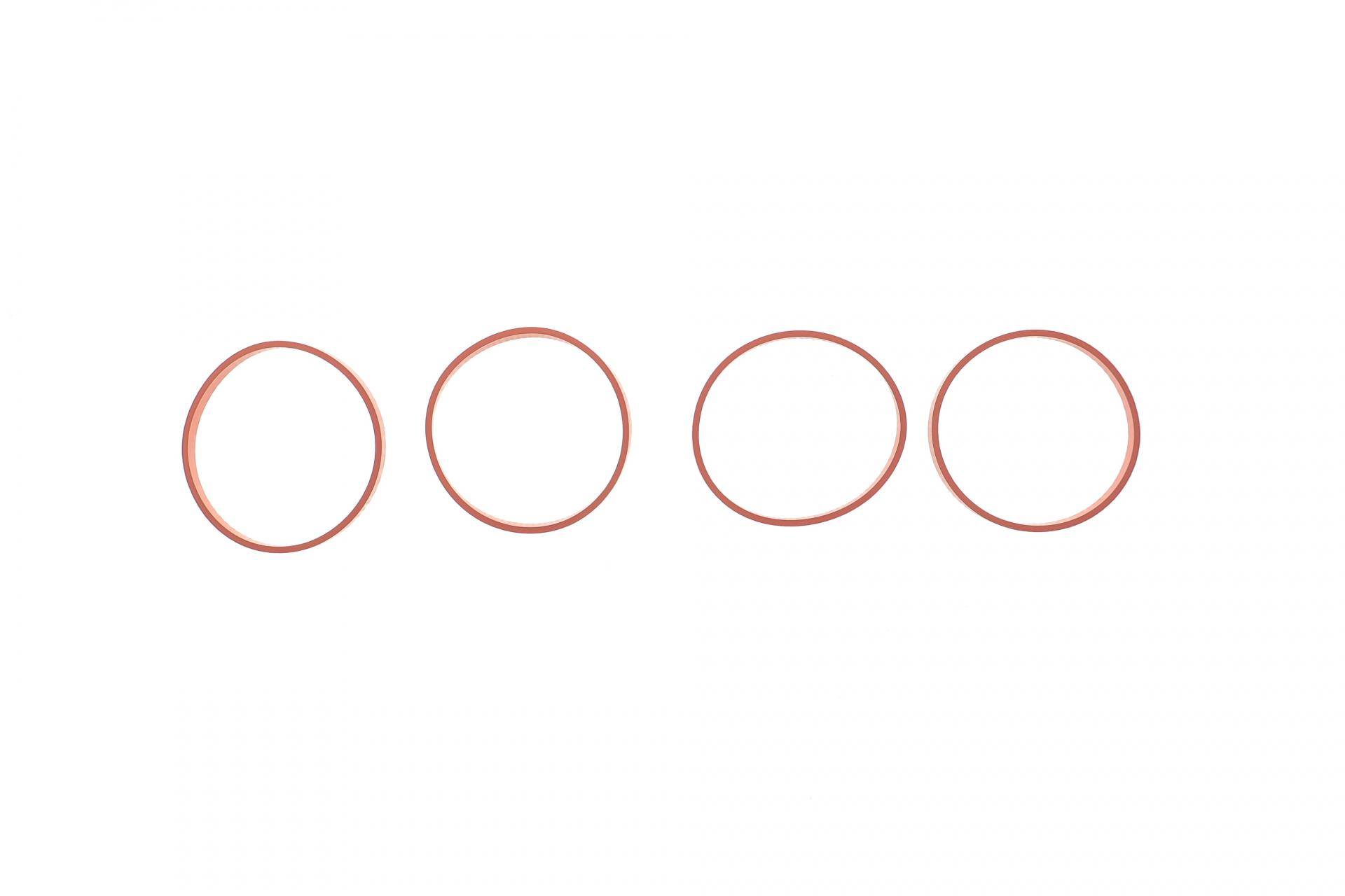 Прокладка колектора впускного Citroen Berlingo 1.6VTi 09- (к-кт)