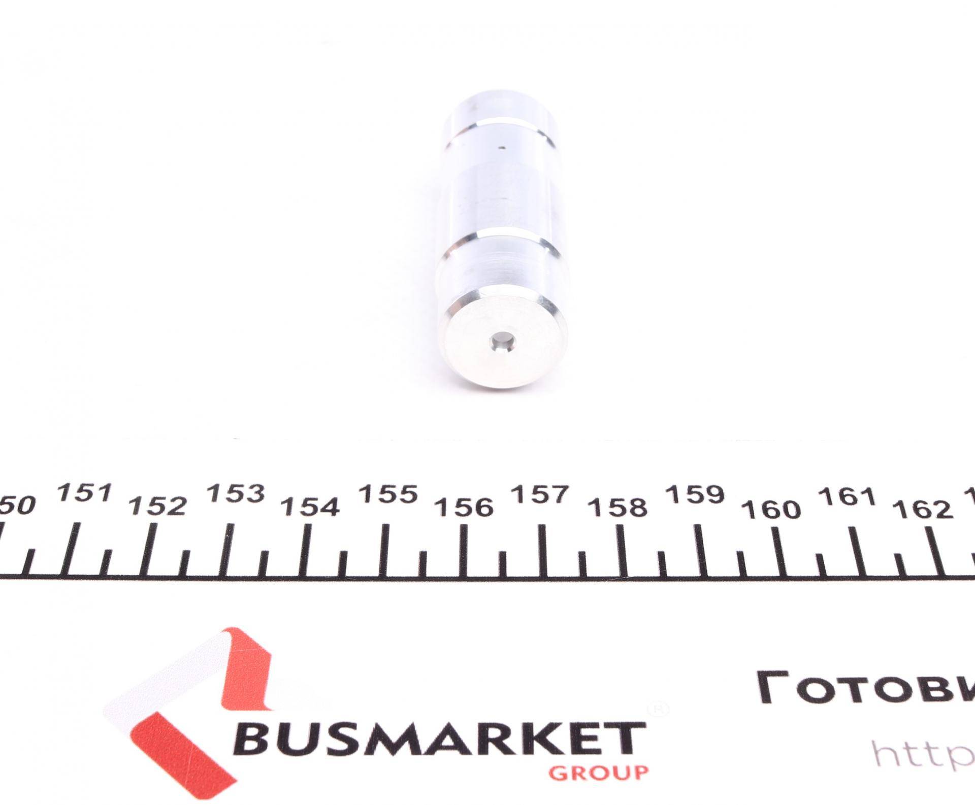 Натяжник ланцюга ГРМ BMW (E36/E46)/5 (E34/E39/E60)/7 (E38/E65/E66/E67)/X5 (E53/E83) 2.0-3.0 90-10