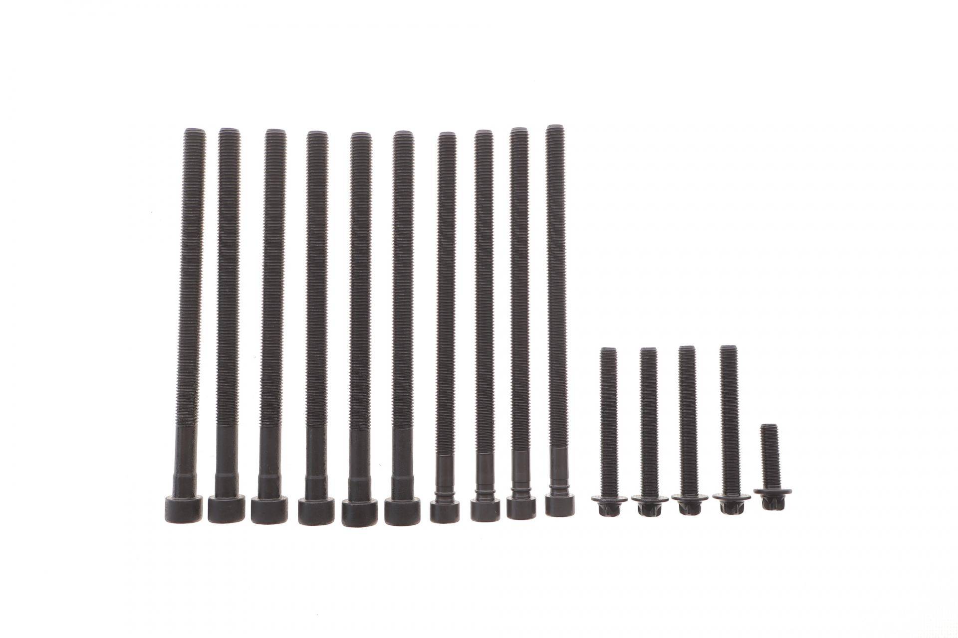 Болти головки (к-кт 15шт.) BMW X3 (F25)/X4 (F26) 11-, N20/N26