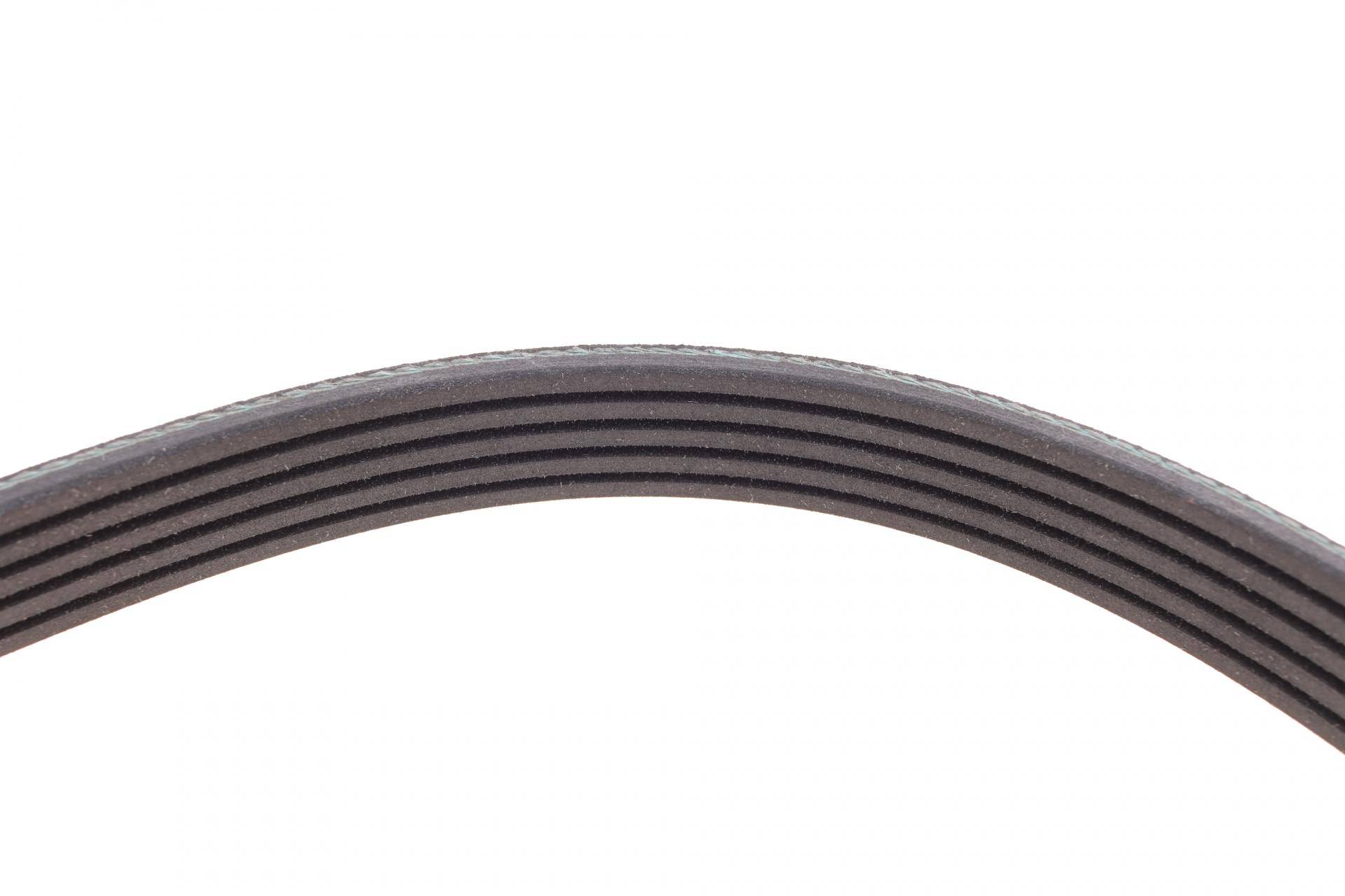 Ремінь генератора Audi A4/ A6/ VW Passat 1.9 TDI 95-01 (5PK1590)