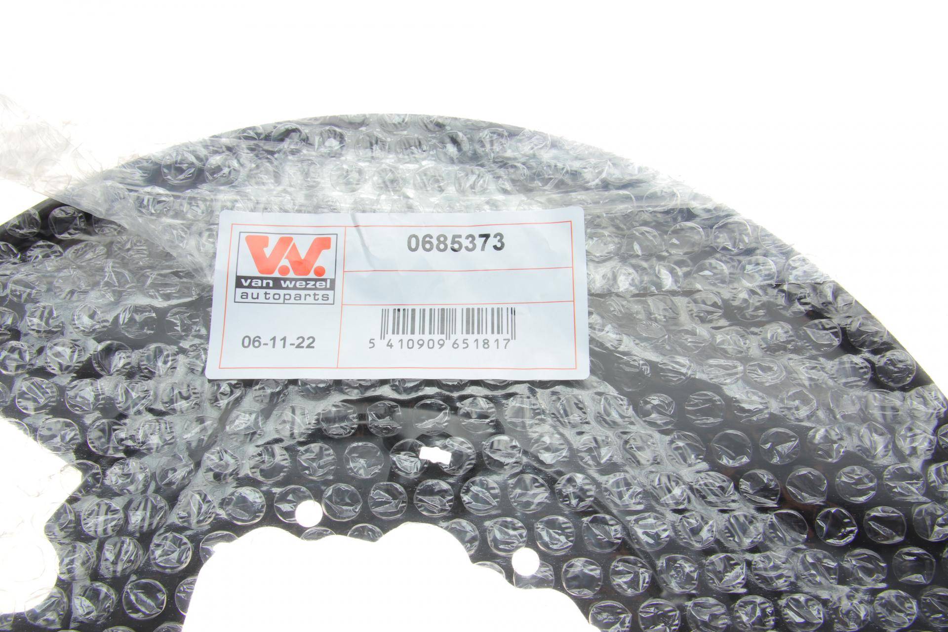 Захист диска гальмівного (заднього) (L) BMW X5 (E53) 00-06