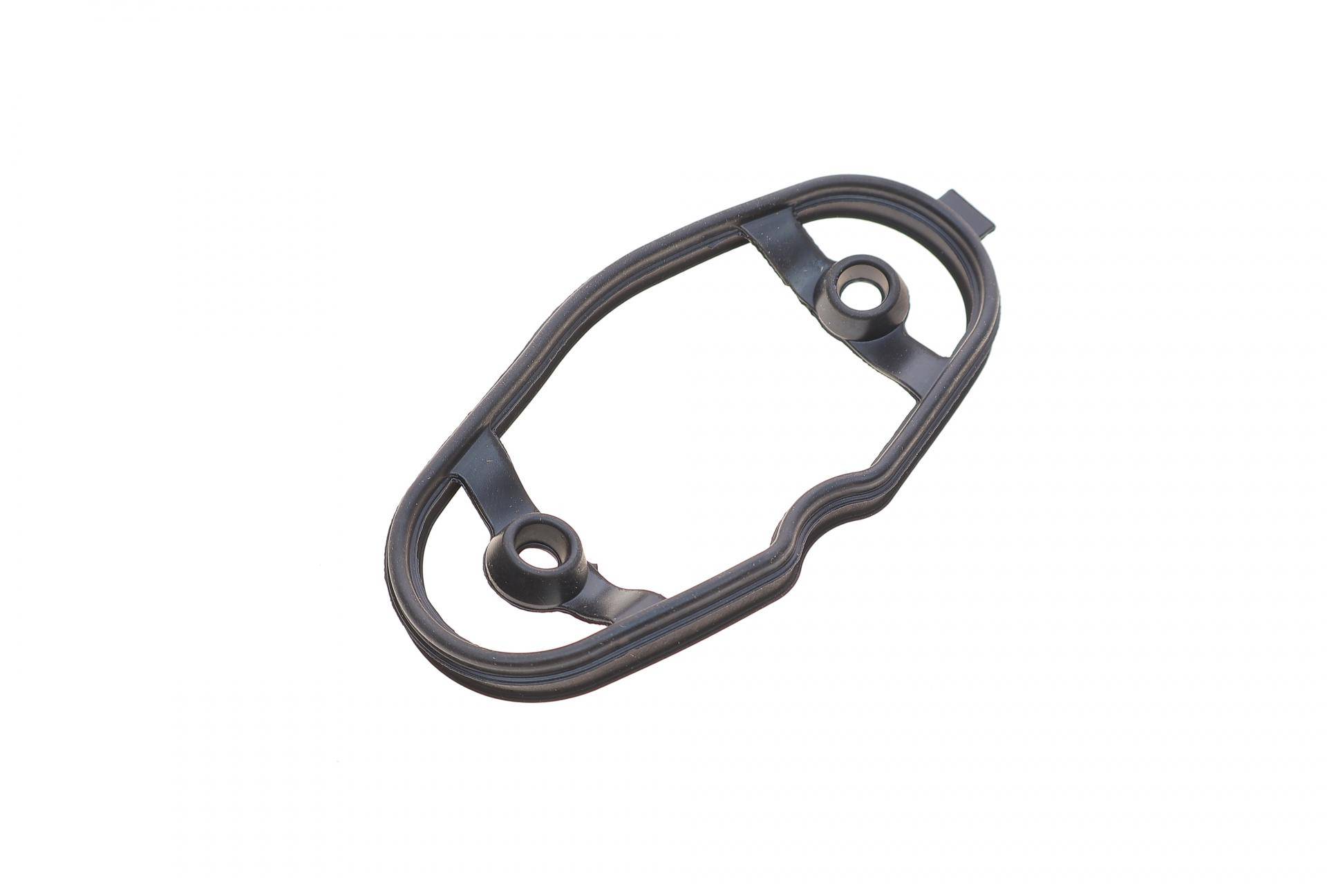 Прокладка насоса паливного BMW 3 (F30/F31/F34/F35)/5 (F10/F11)/X5 (F15/F85) 09- N20/N63/N26