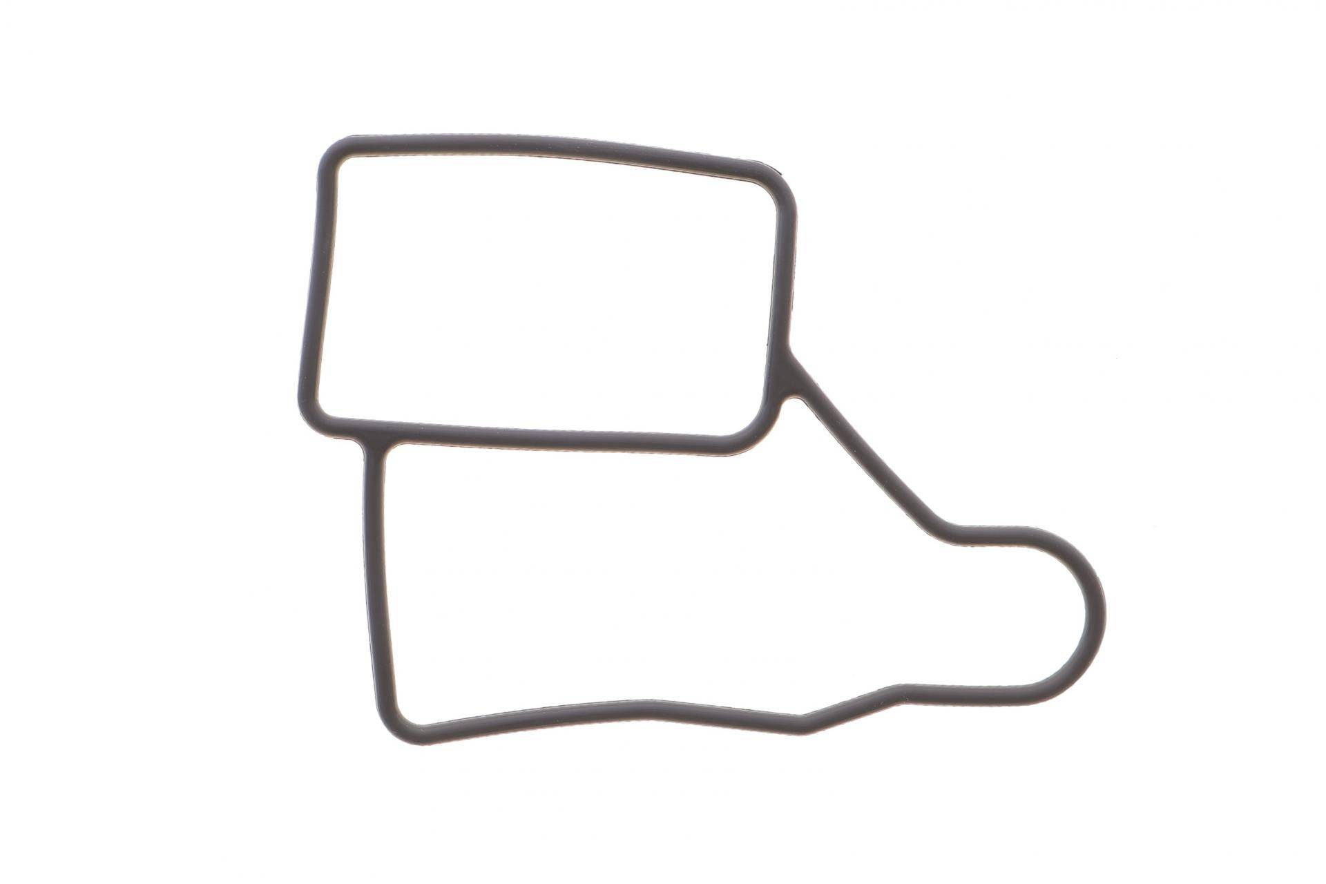 Прокладка помпи води BMW 2 (F45) 14-/X1 (F48) 1.5-2.0i (B38/B48/B42/B46) 15-