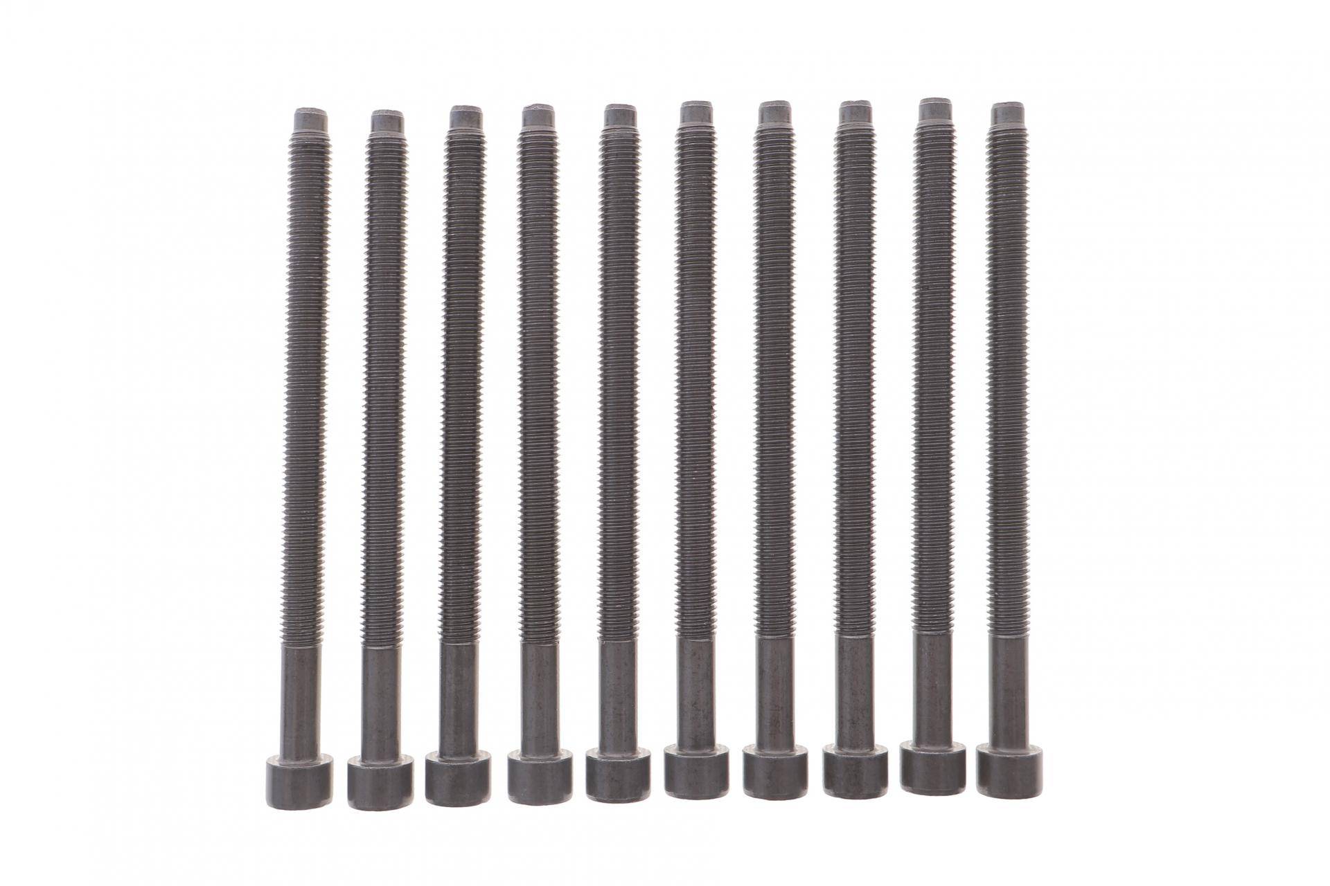 Болти головки (к-кт 10шт.) VW Caddy 1.9TDI 03-