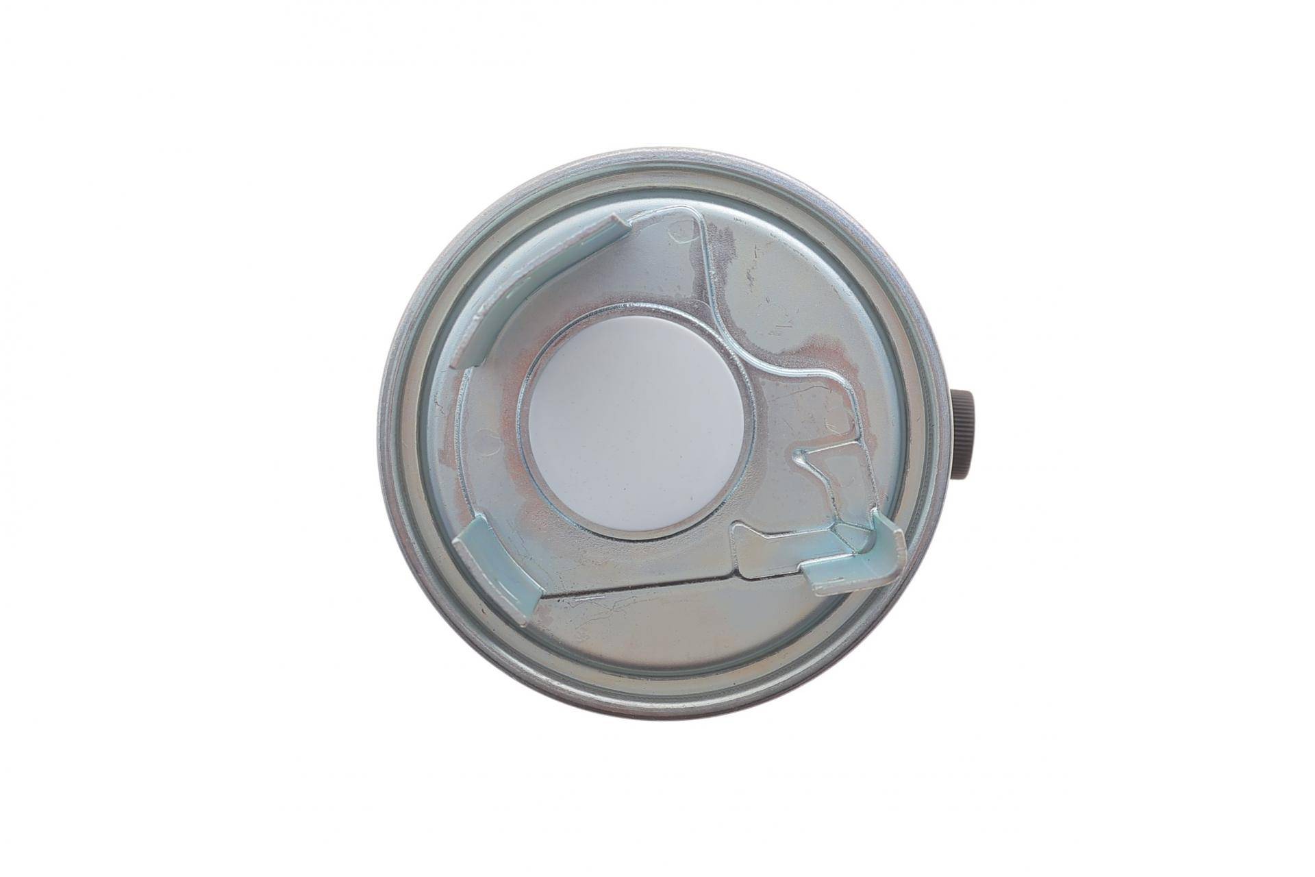 Фільтр паливний Renault Kadjar 1.5/1.6dCi 15-/Koleos 2.0 dCi 19-