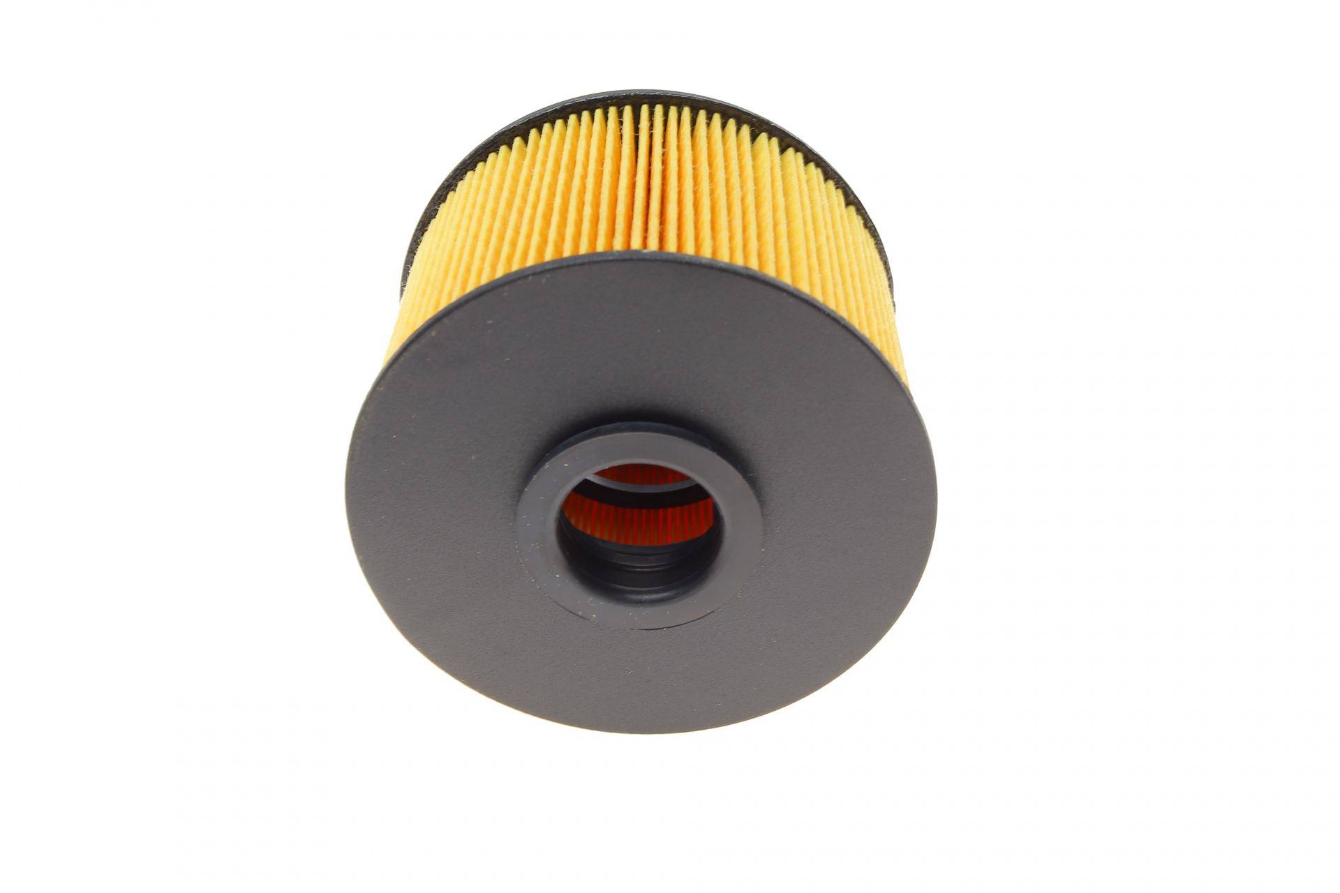 Фільтр паливний Renault Kangoo 1.9DTI