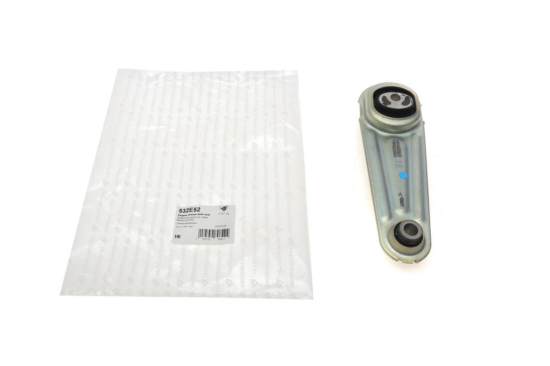 Подушка двигуна (задня/нижня) Renault Kangoo 1.5 dCi 08- (косточка)